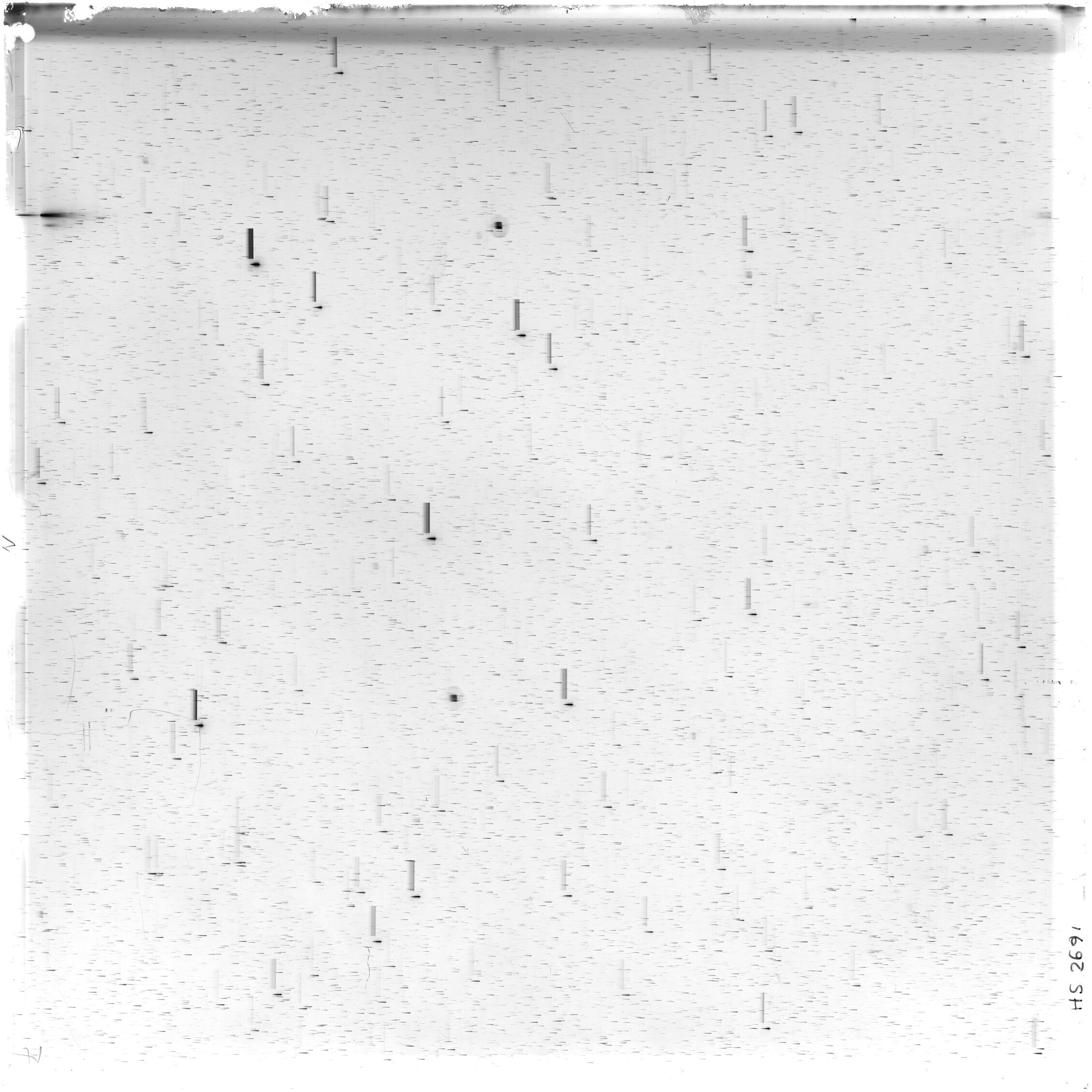 Scan HS02691