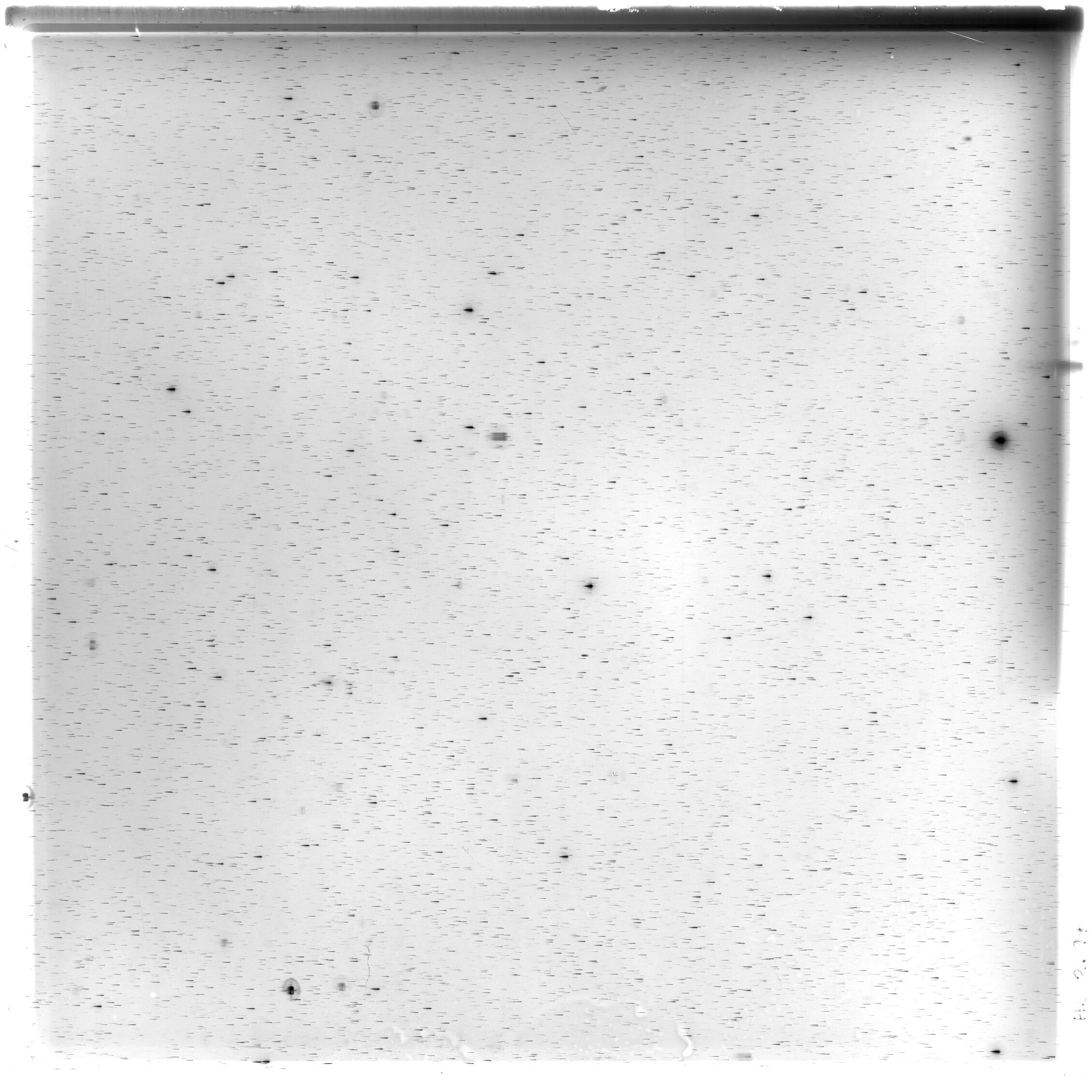 Scan HS02694