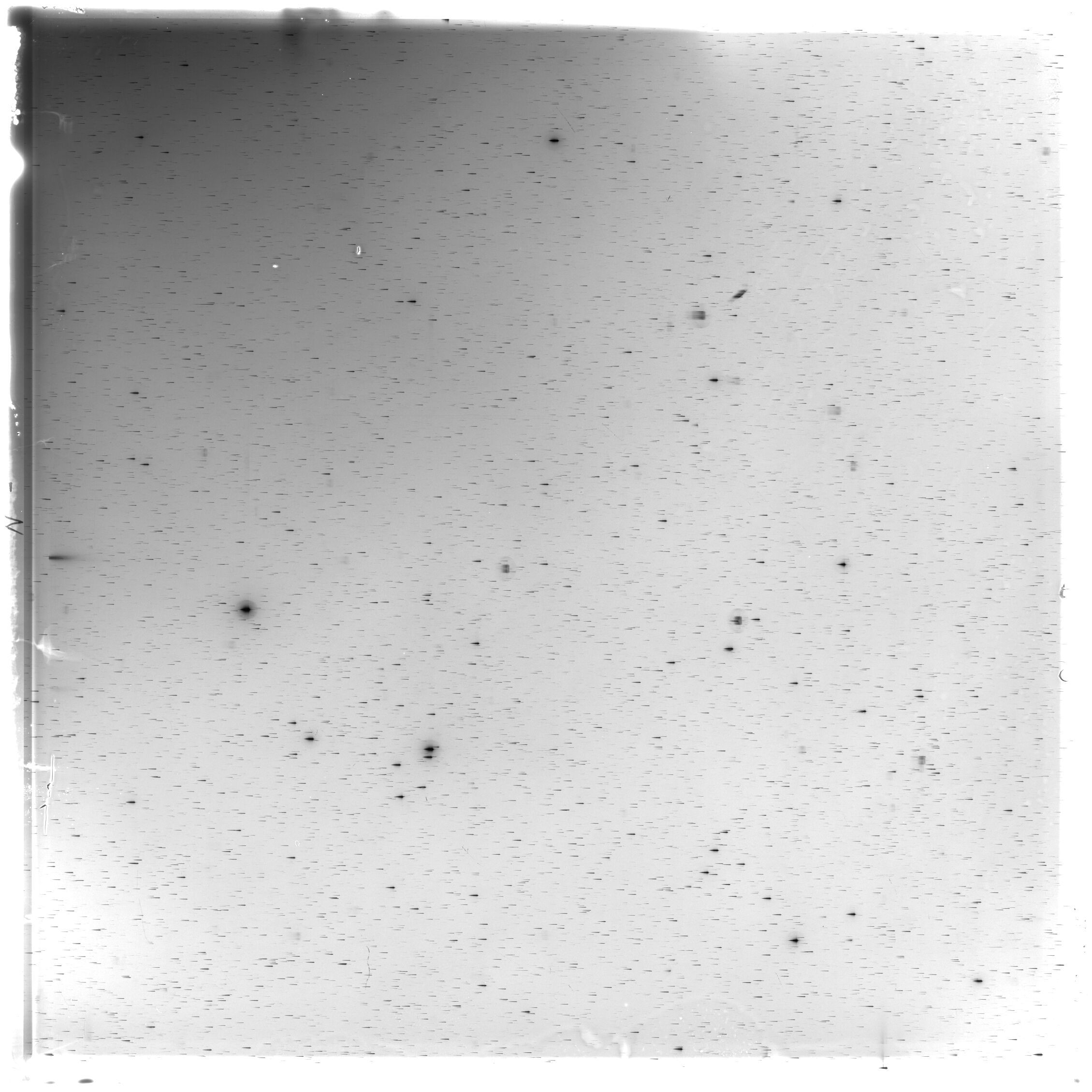 Scan HS02695