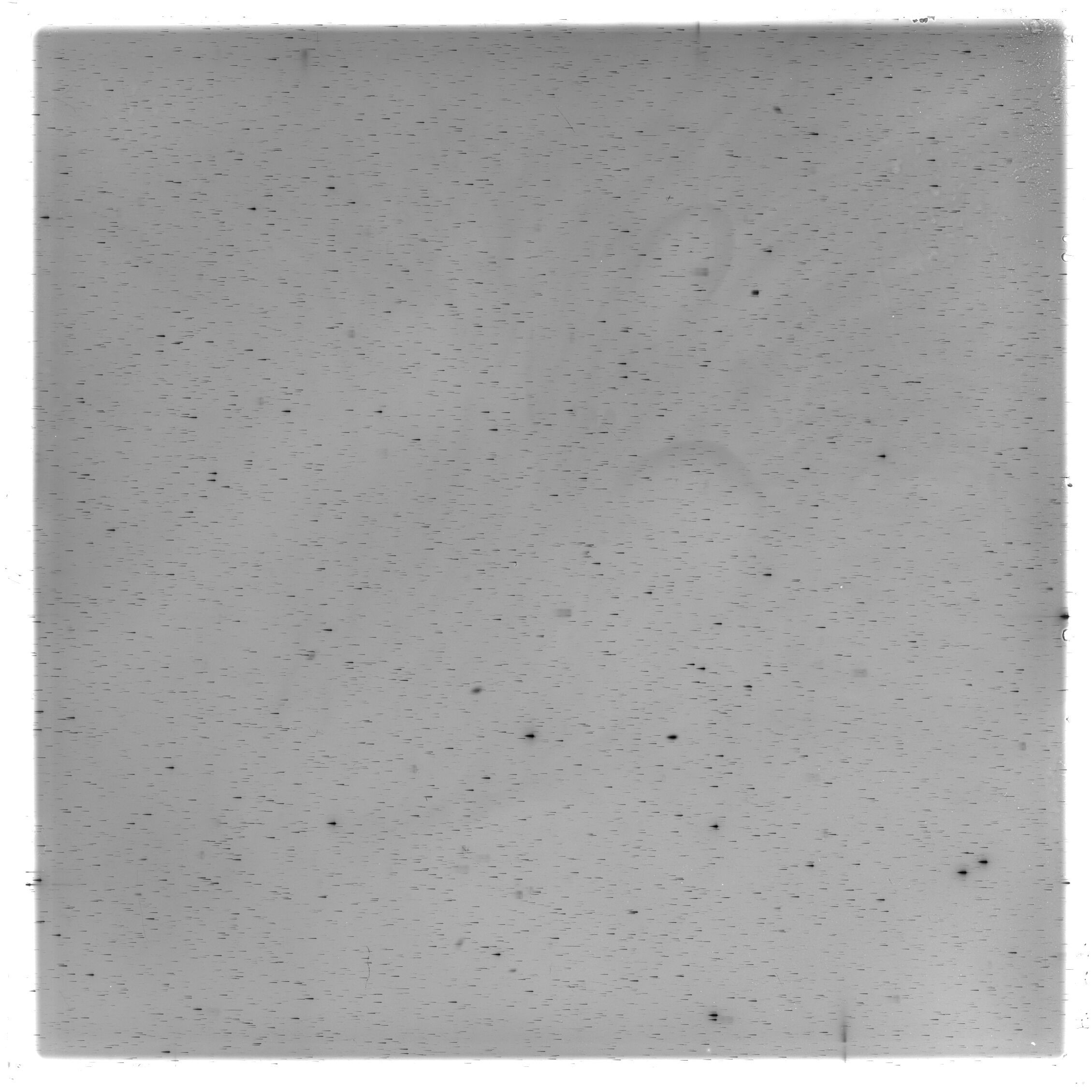 Scan HS02696