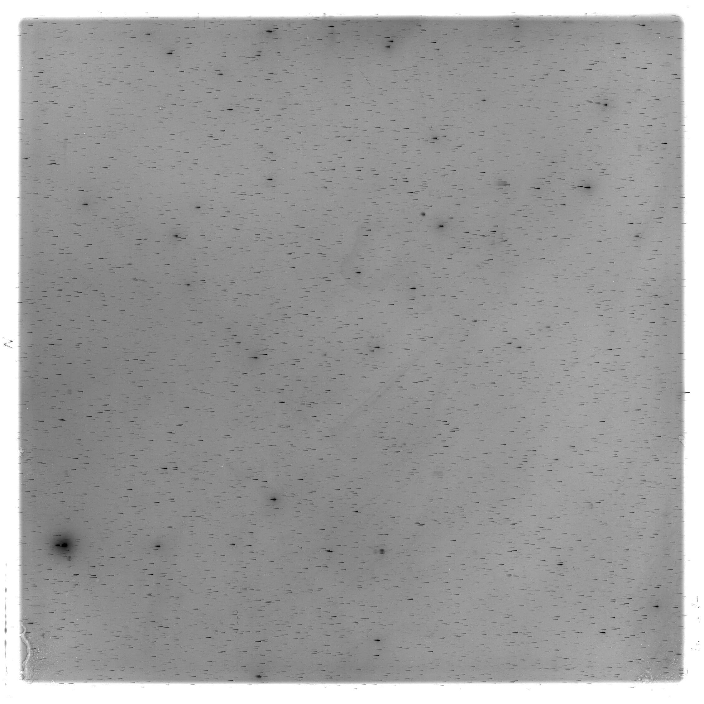 Scan HS02697