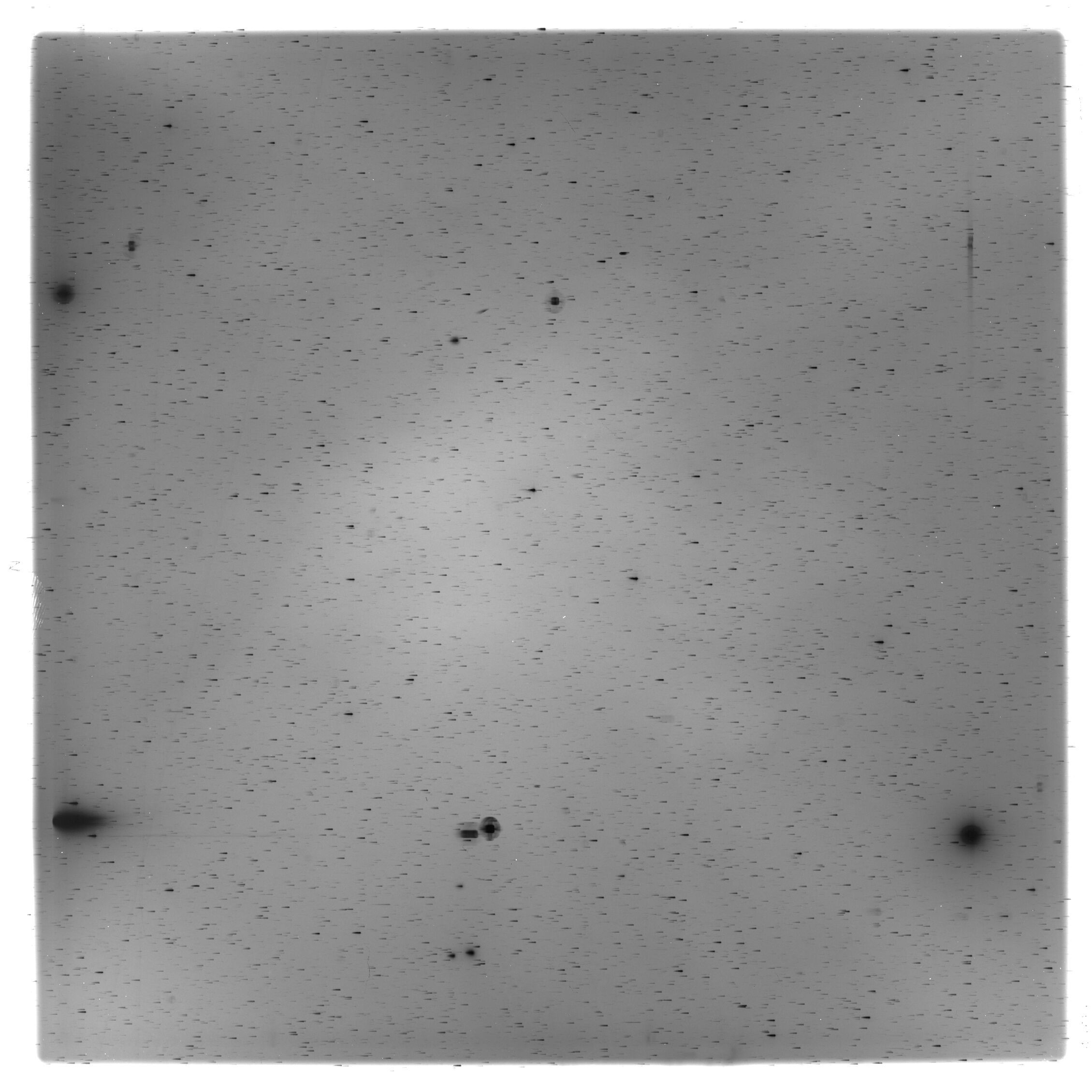 Scan HS02742