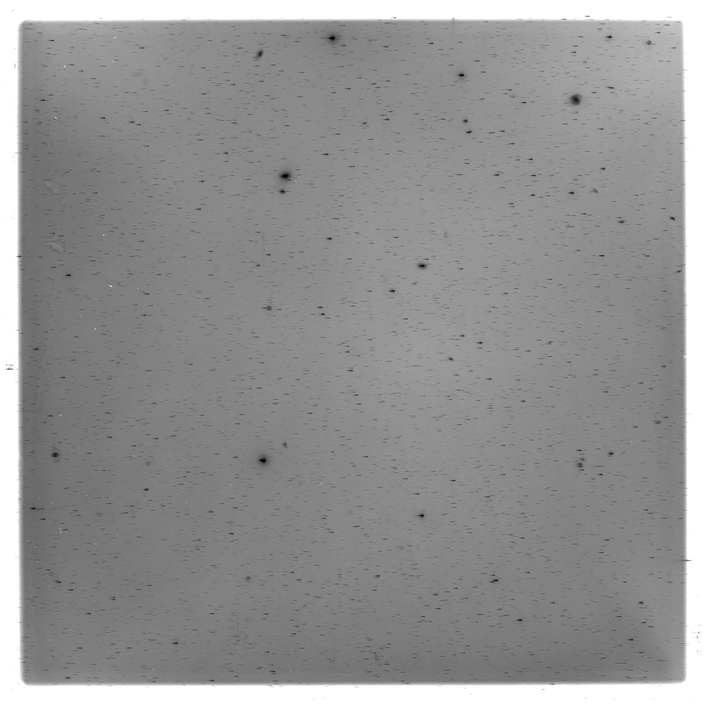 Scan HS02761