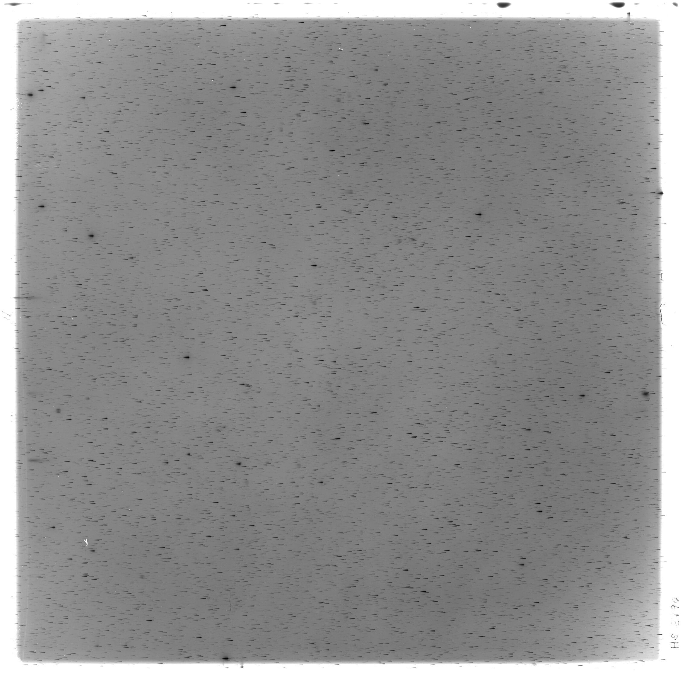 Scan HS02790