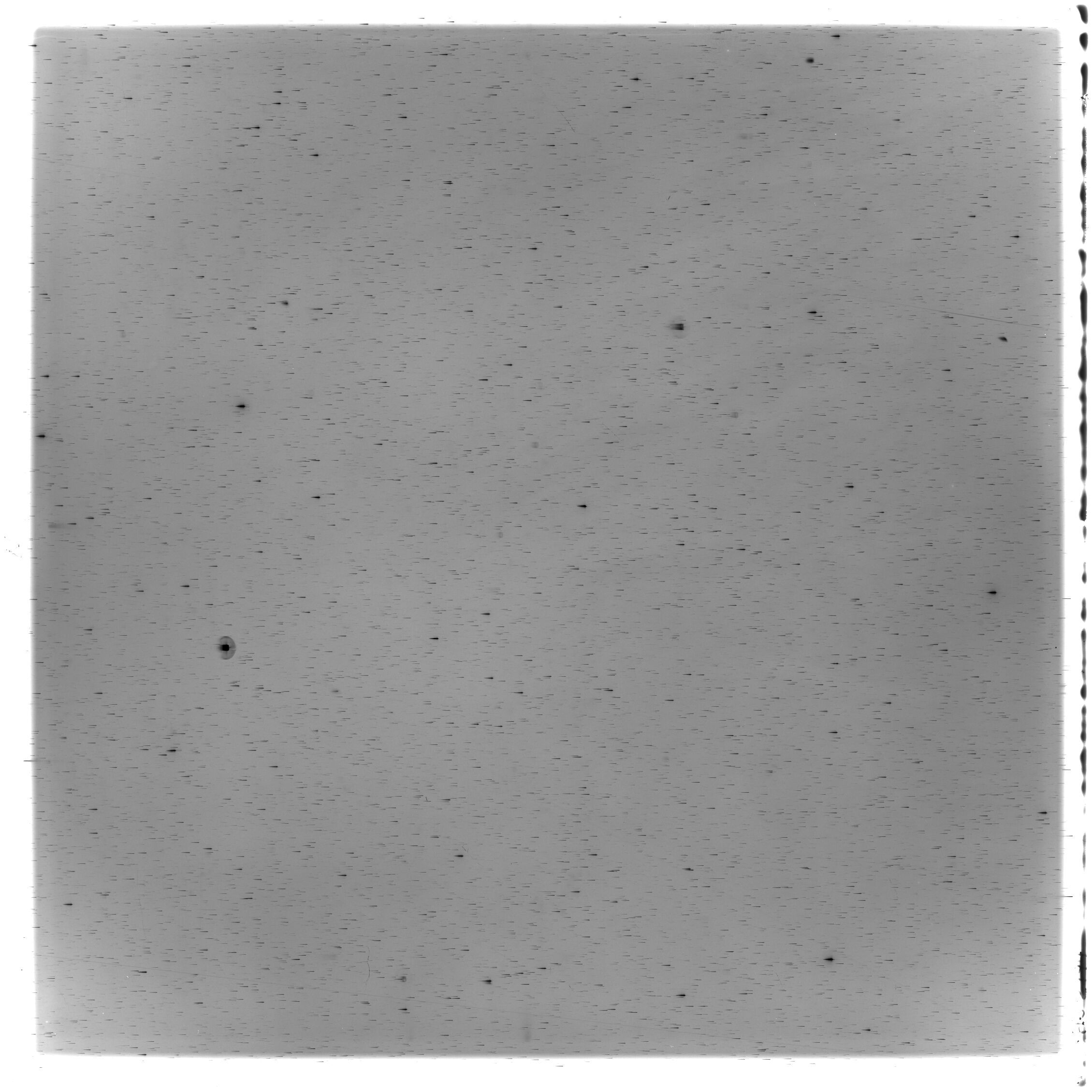 Scan HS02794