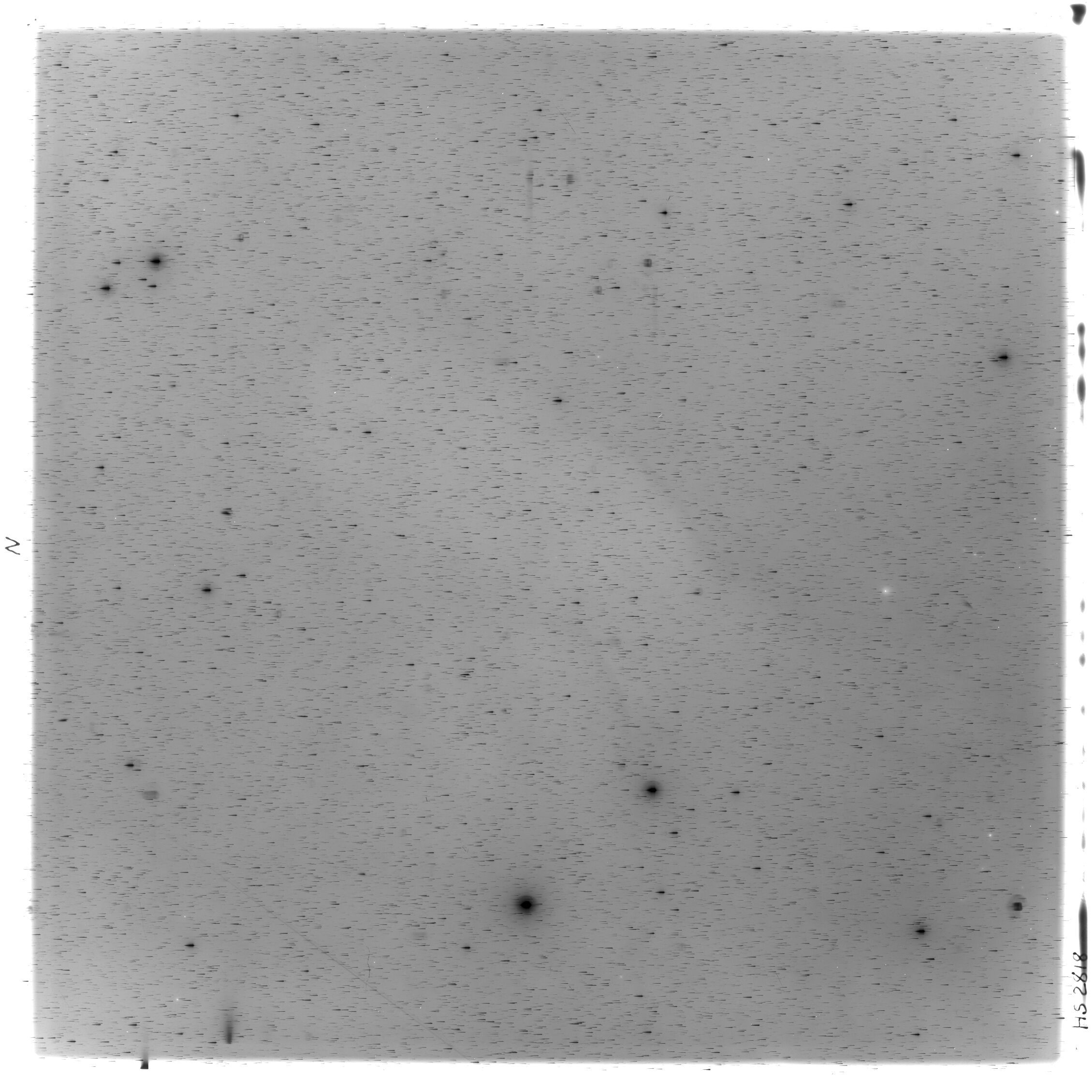 Scan HS02818