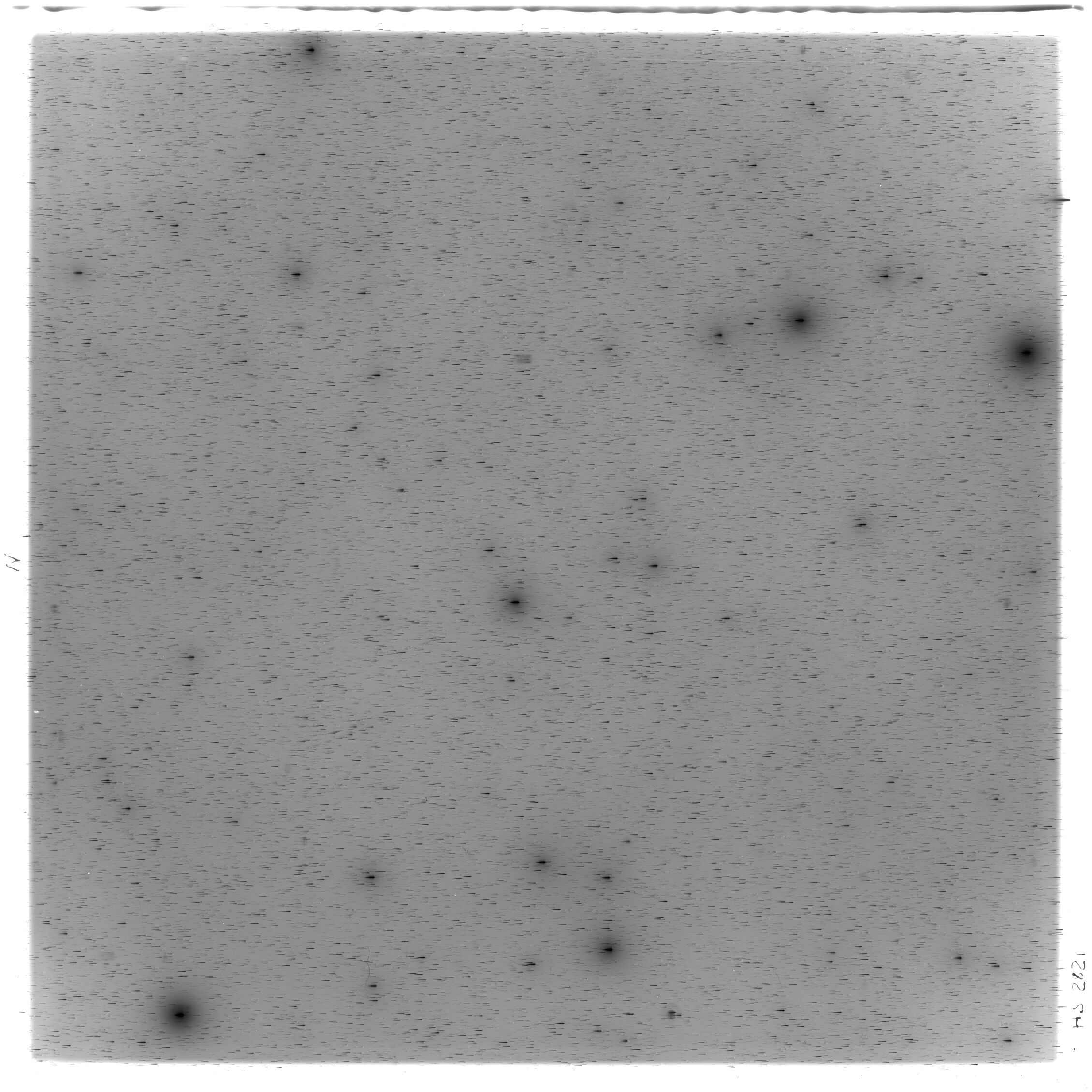 Scan HS02821