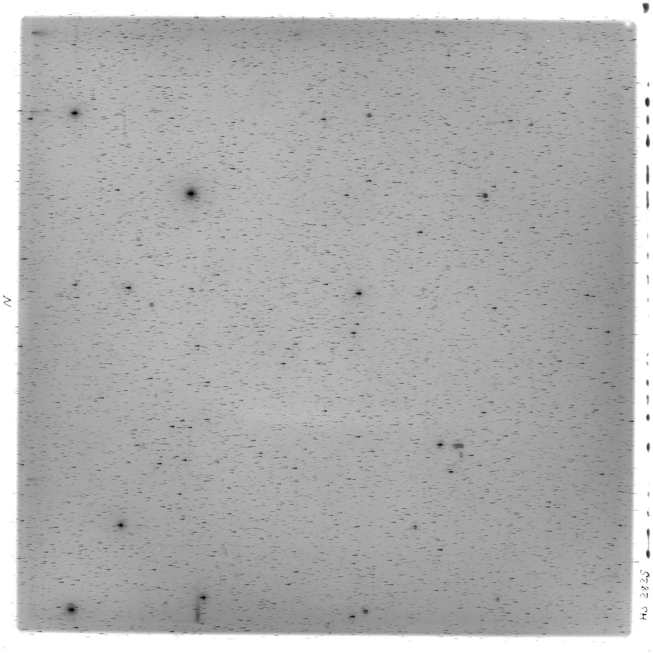 Scan HS02825