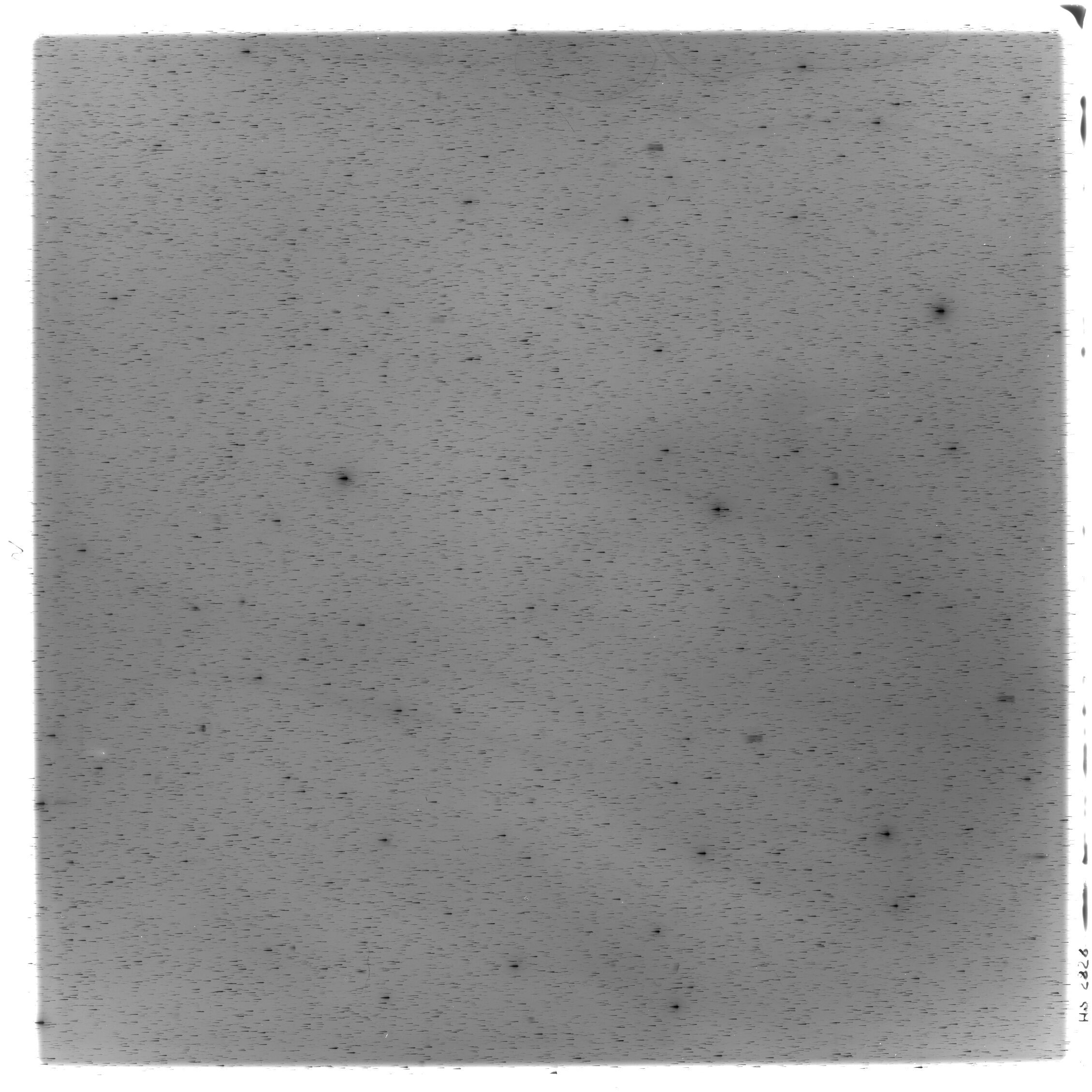 Scan HS02828