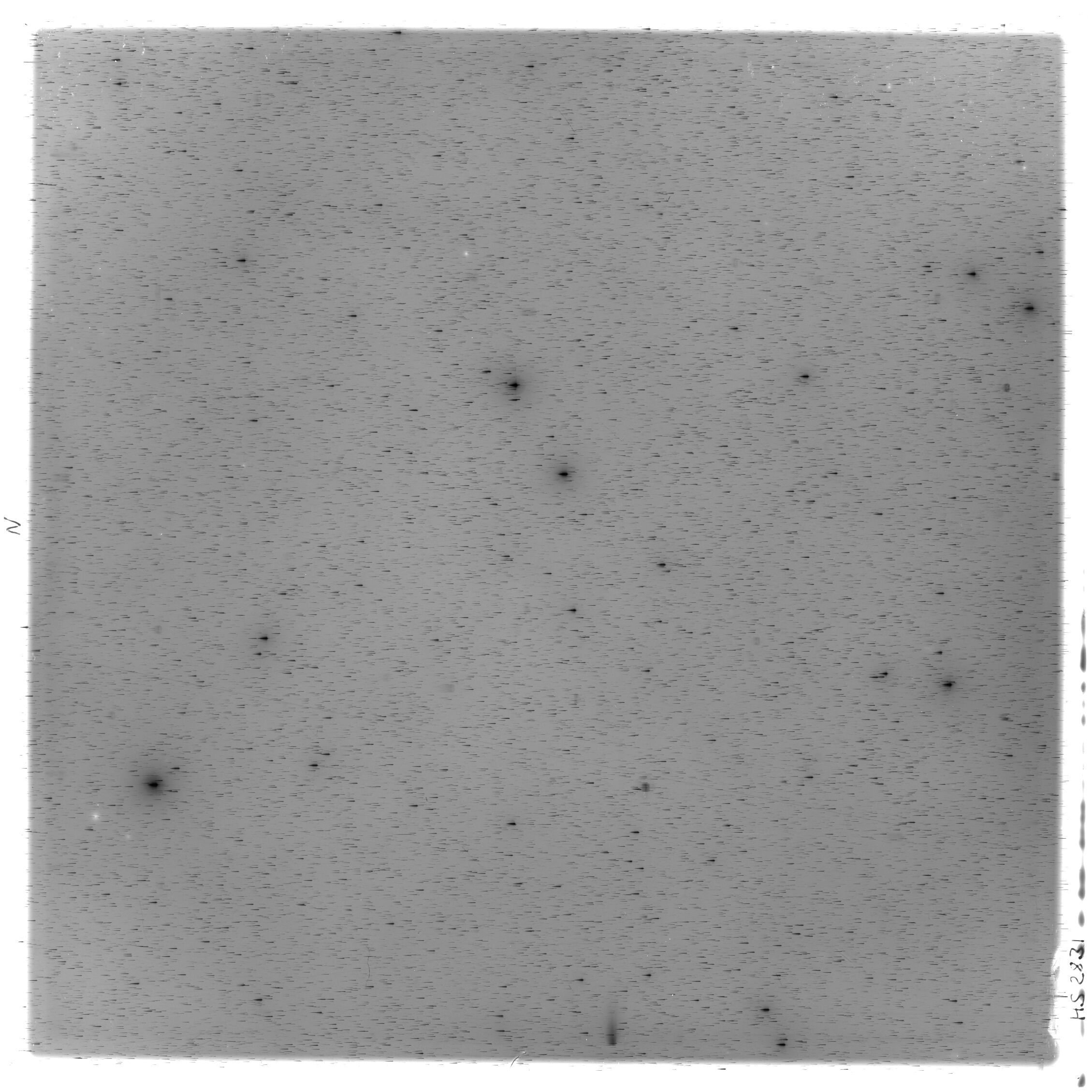 Scan HS02831