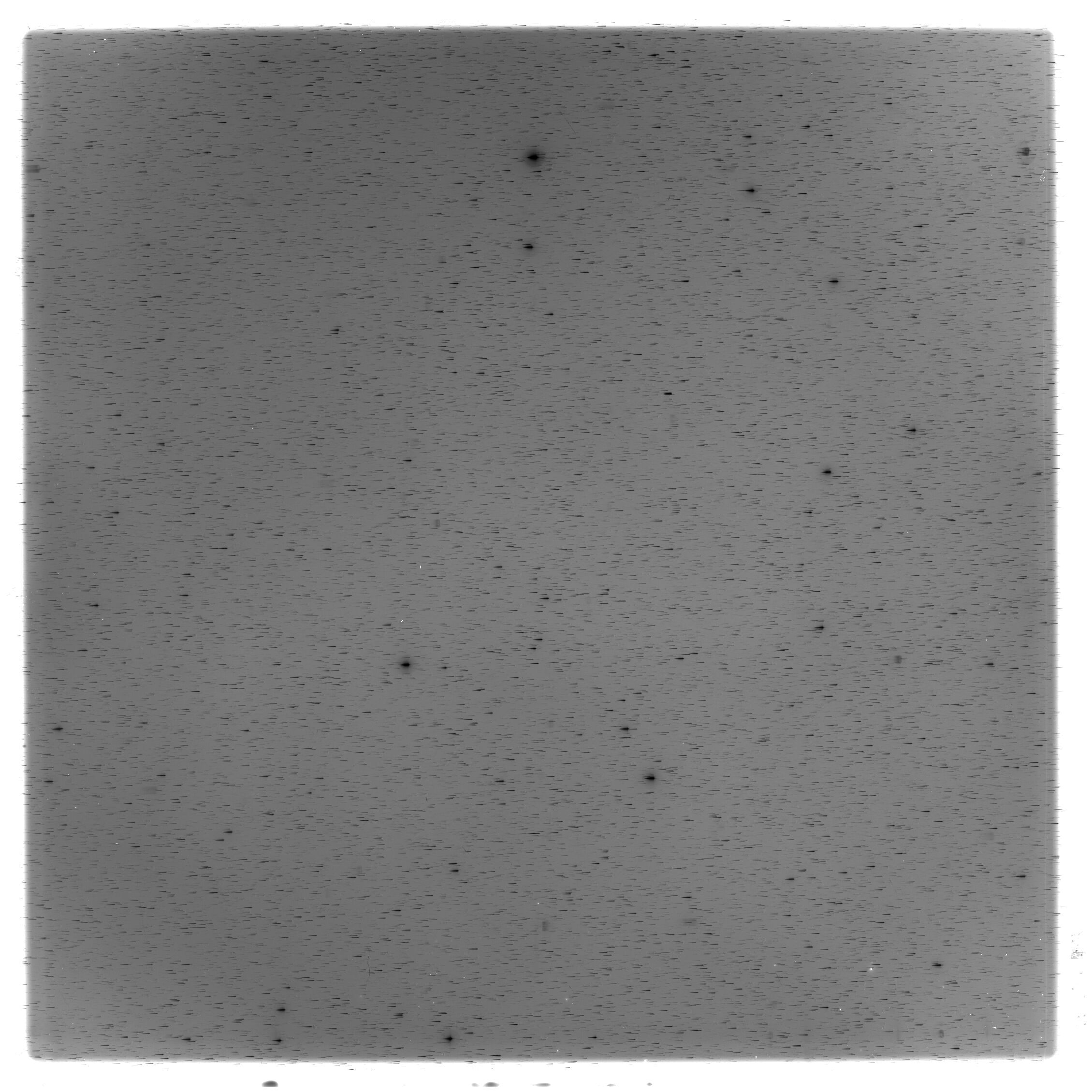 Scan HS02833