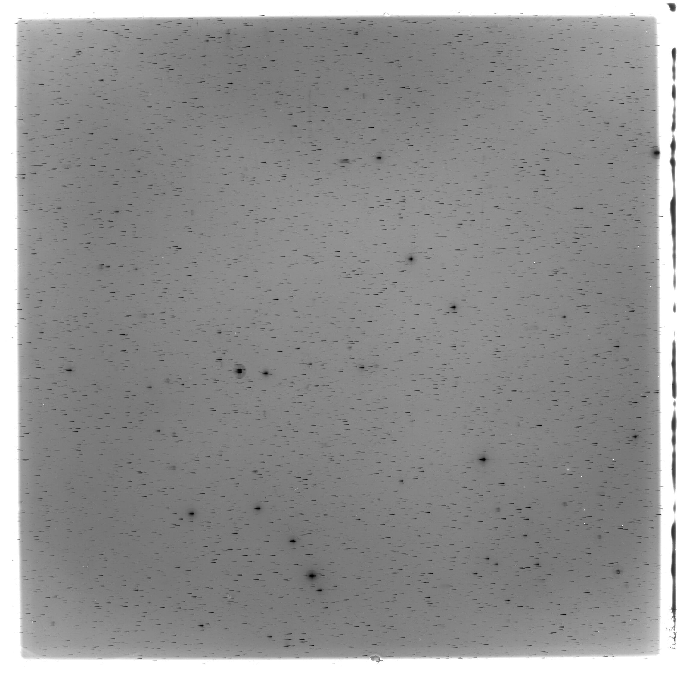 Scan HS02837