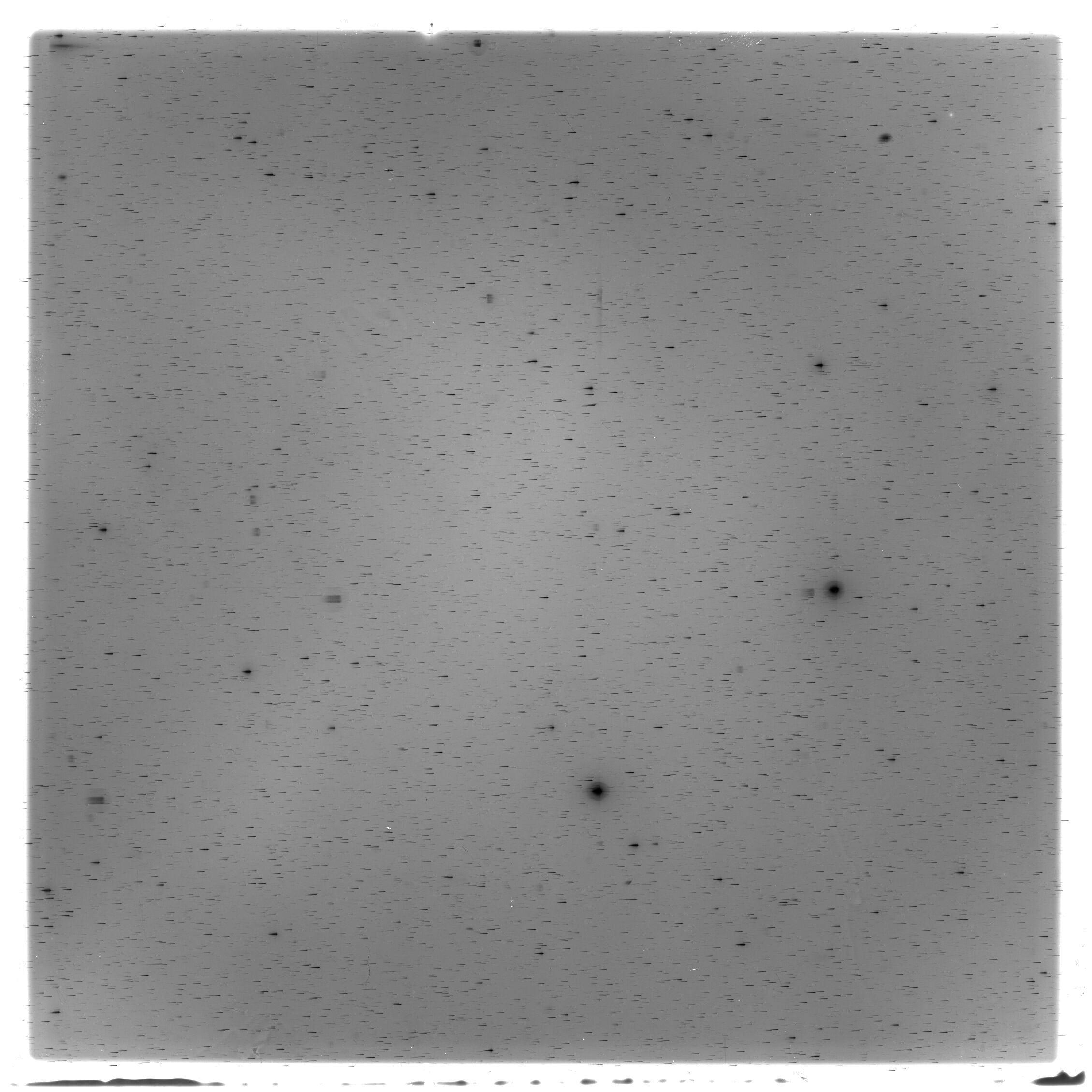 Scan HS02839