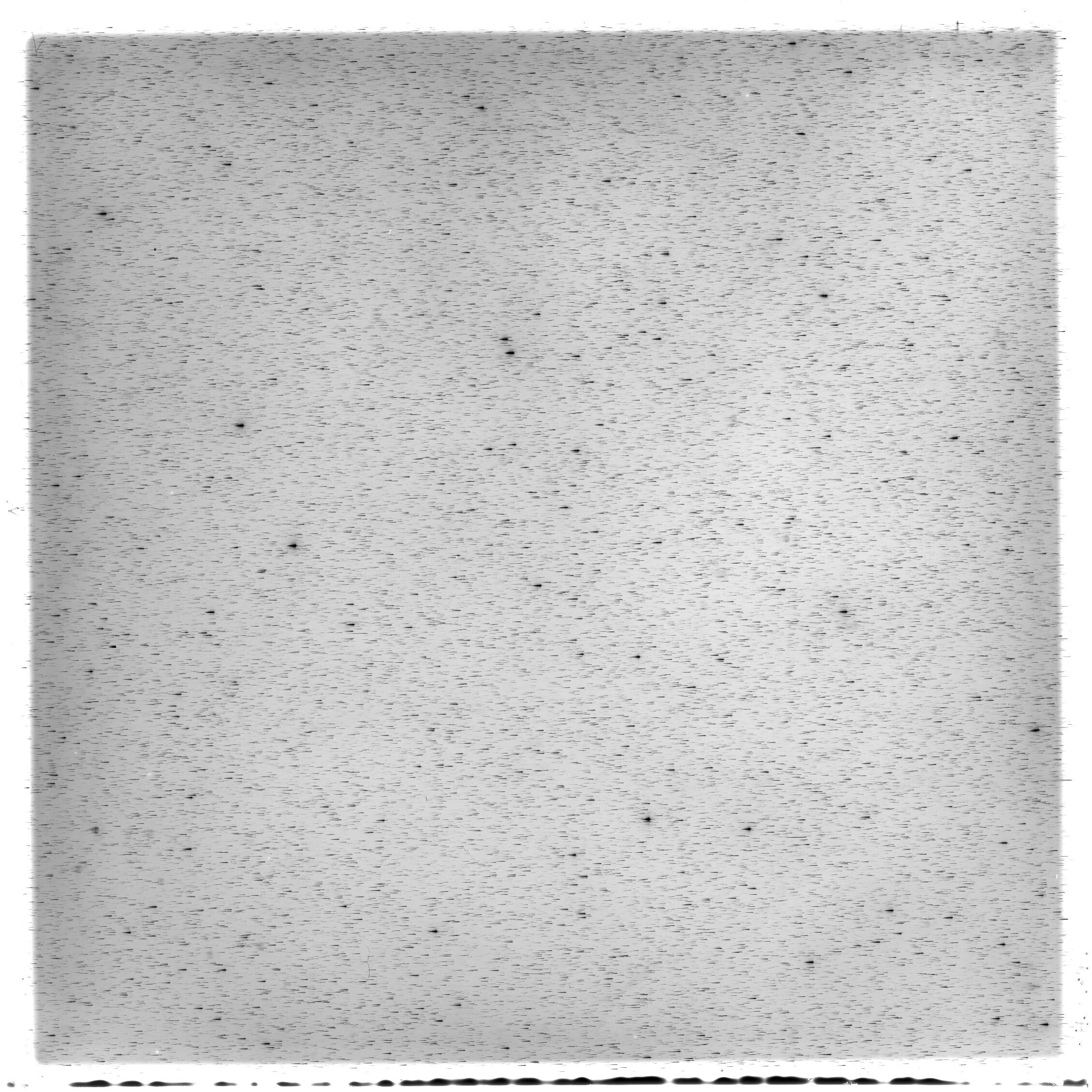 Scan HS02842