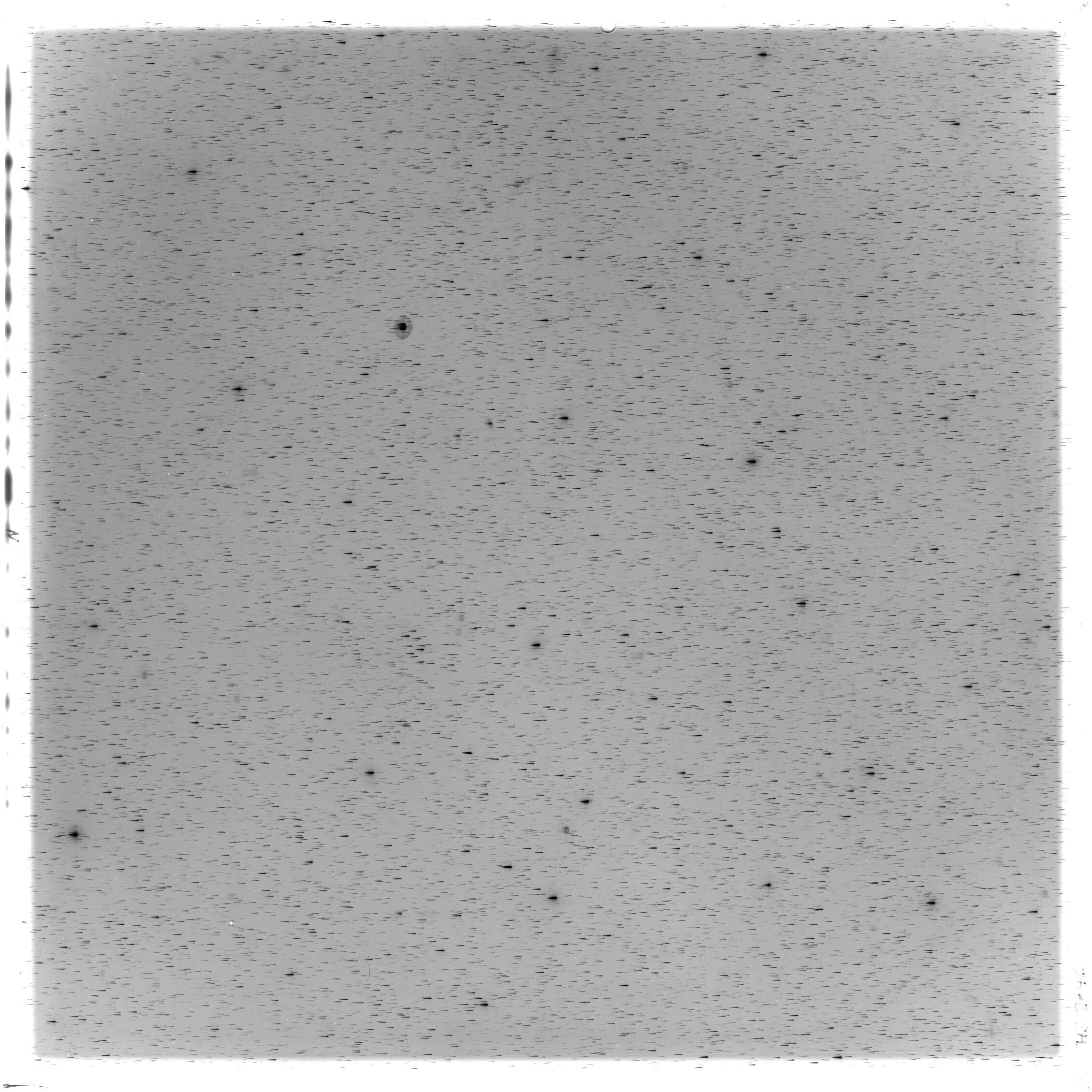 Scan HS02846