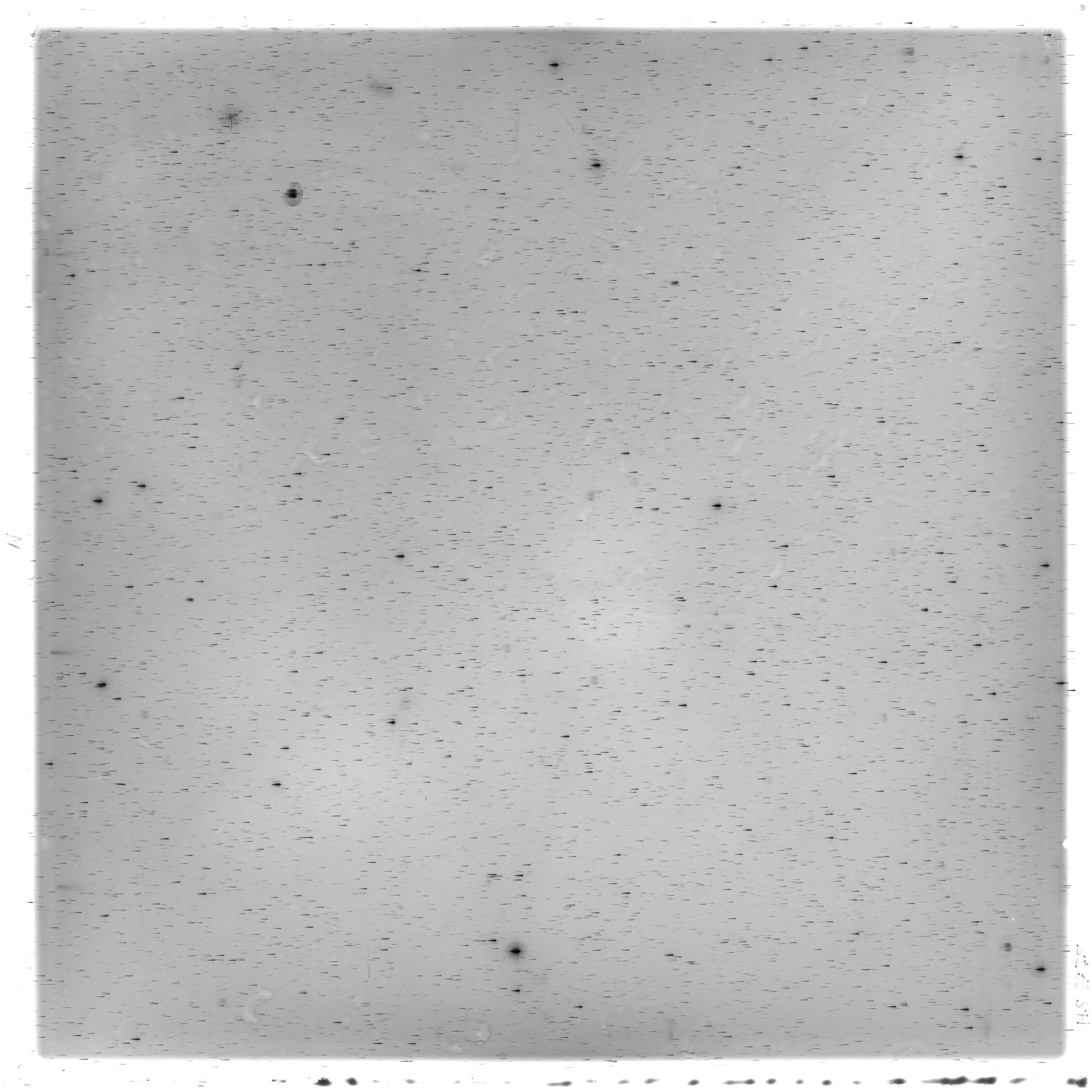 Scan HS02875