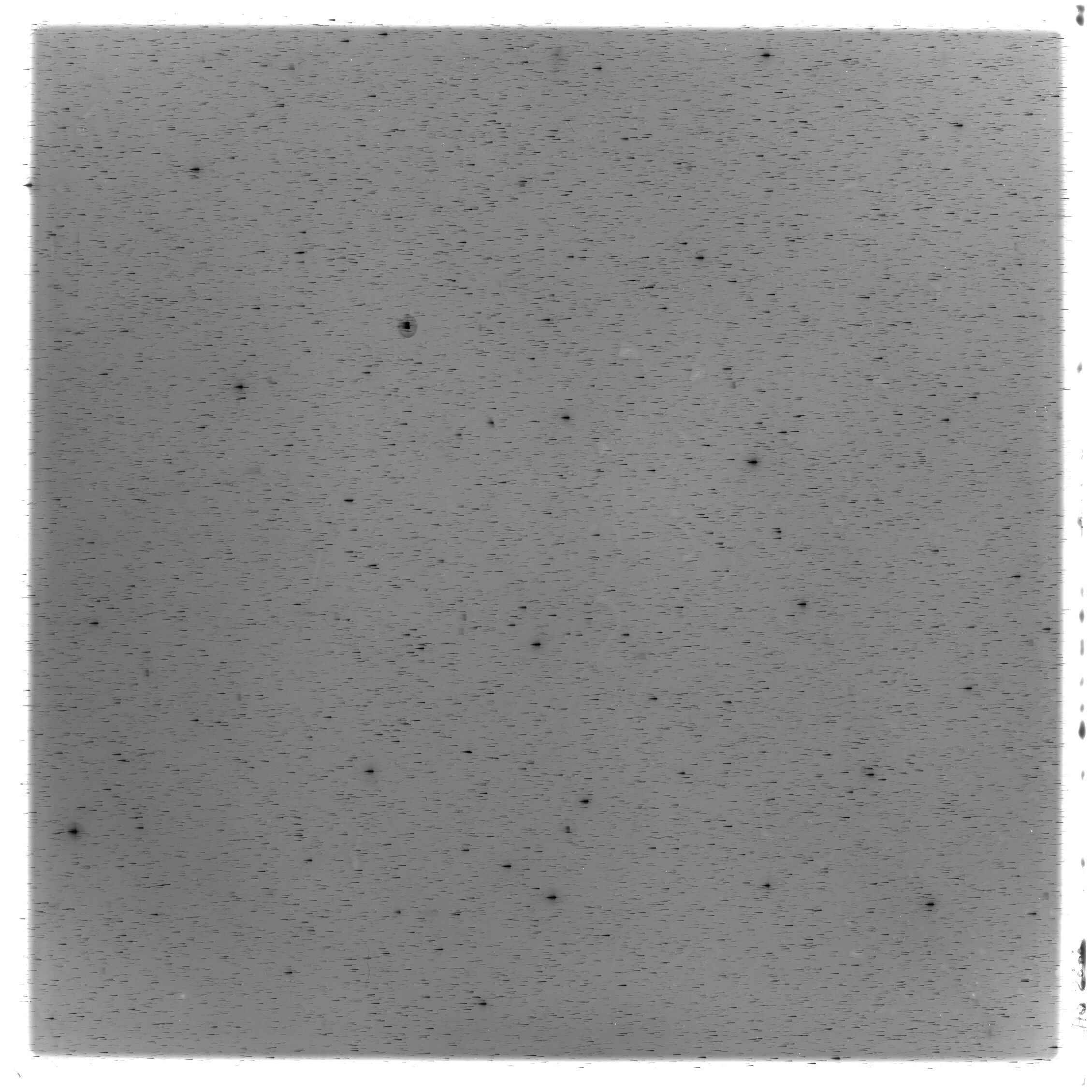 Scan HS02878