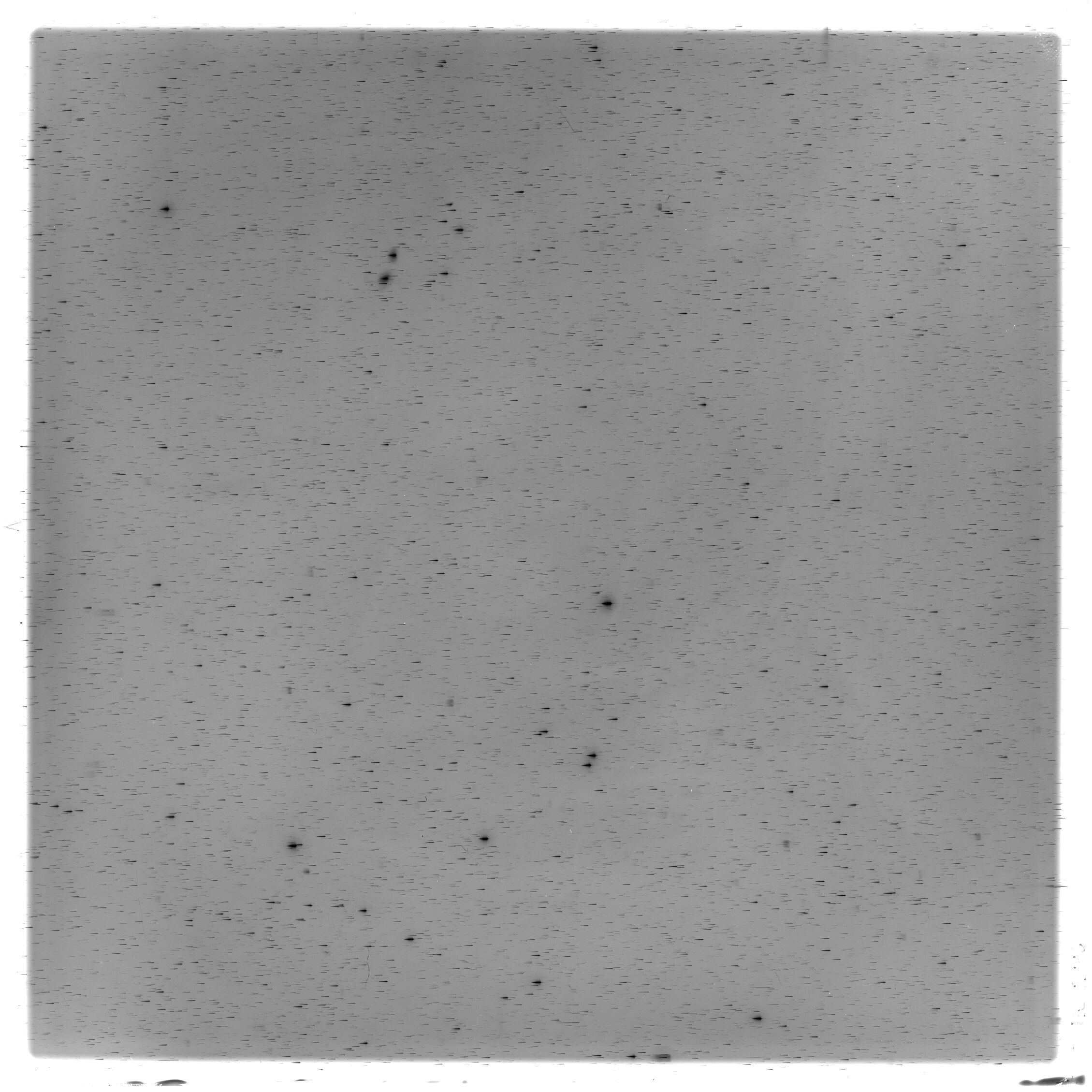 Scan HS02880