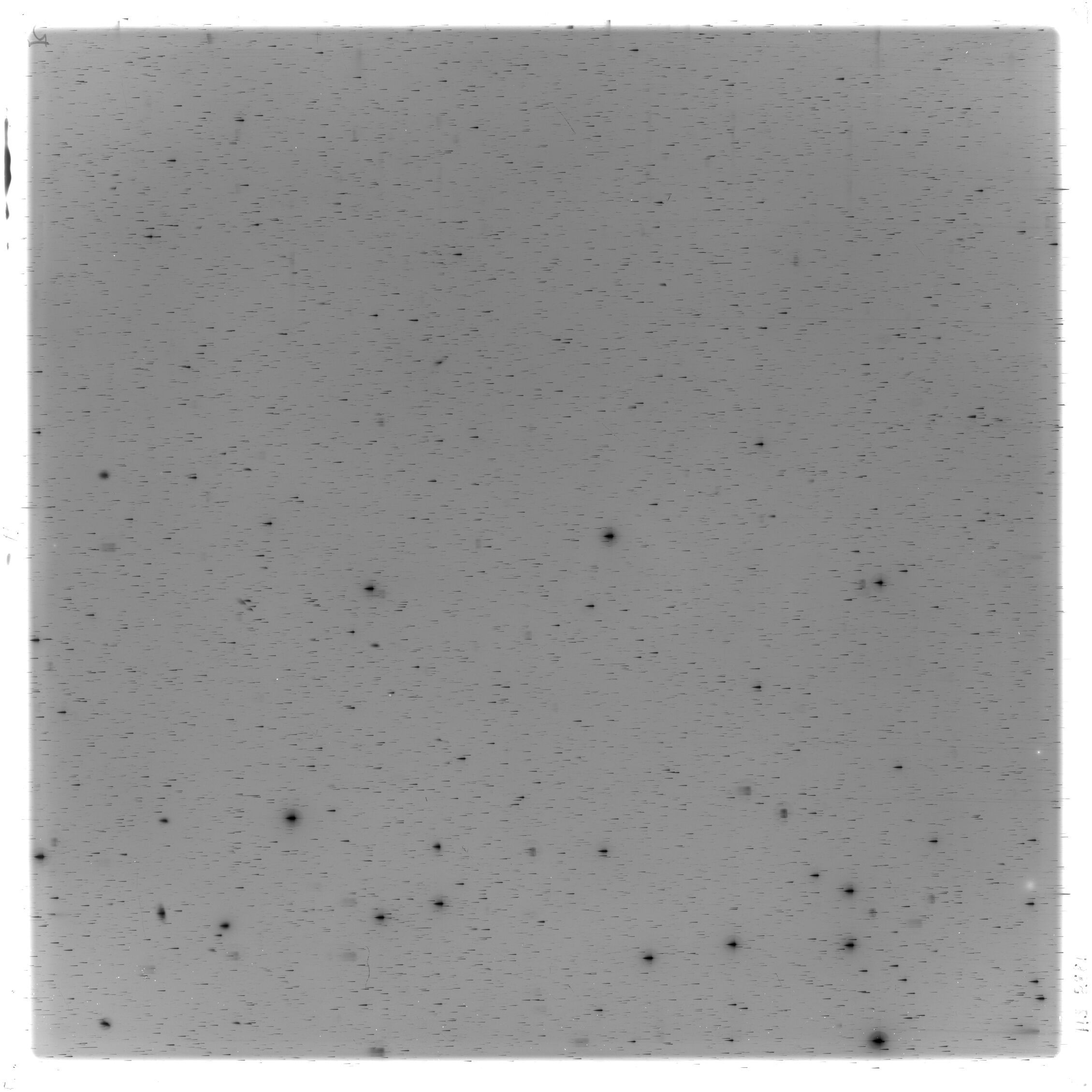 Scan HS02881