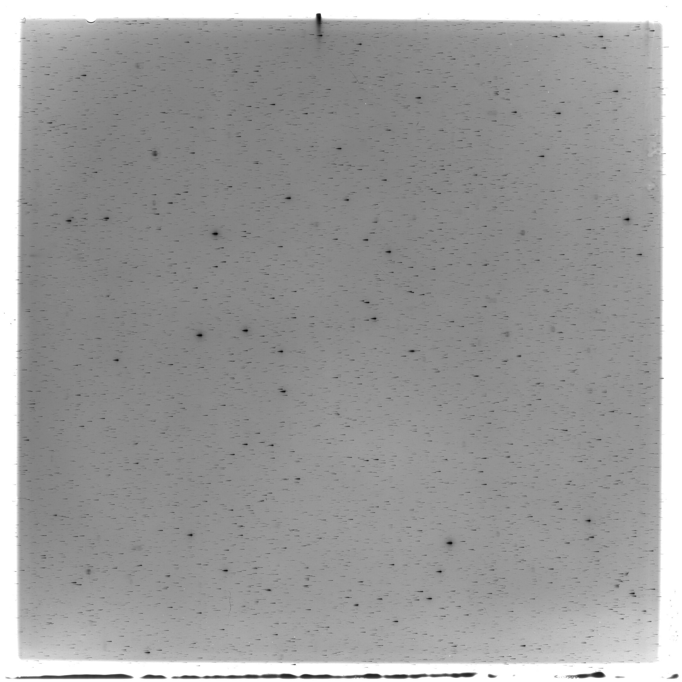 Scan HS02887