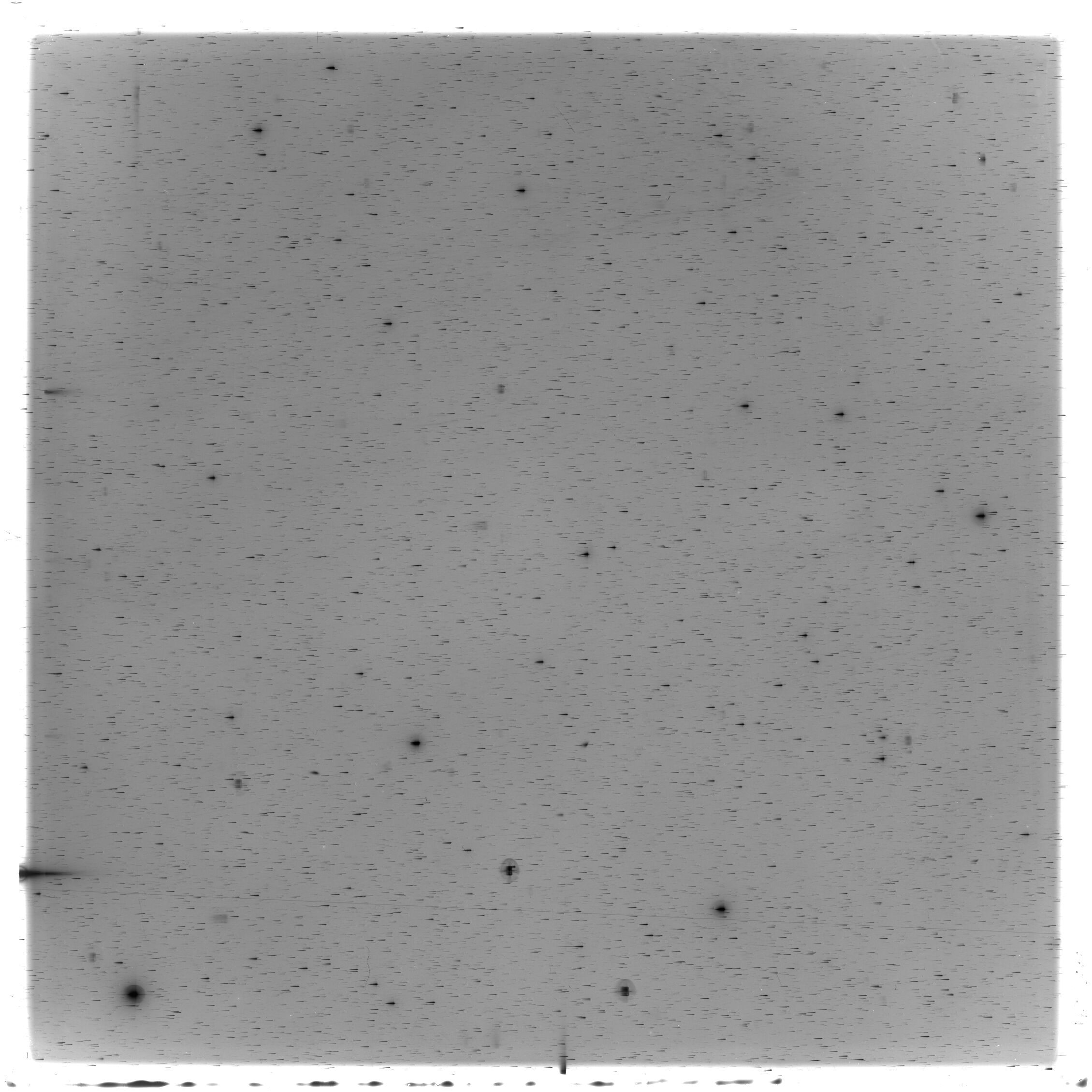 Scan HS02888