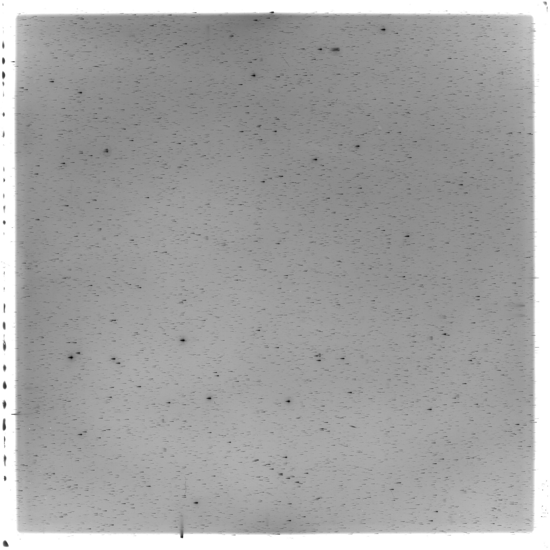Scan HS02891