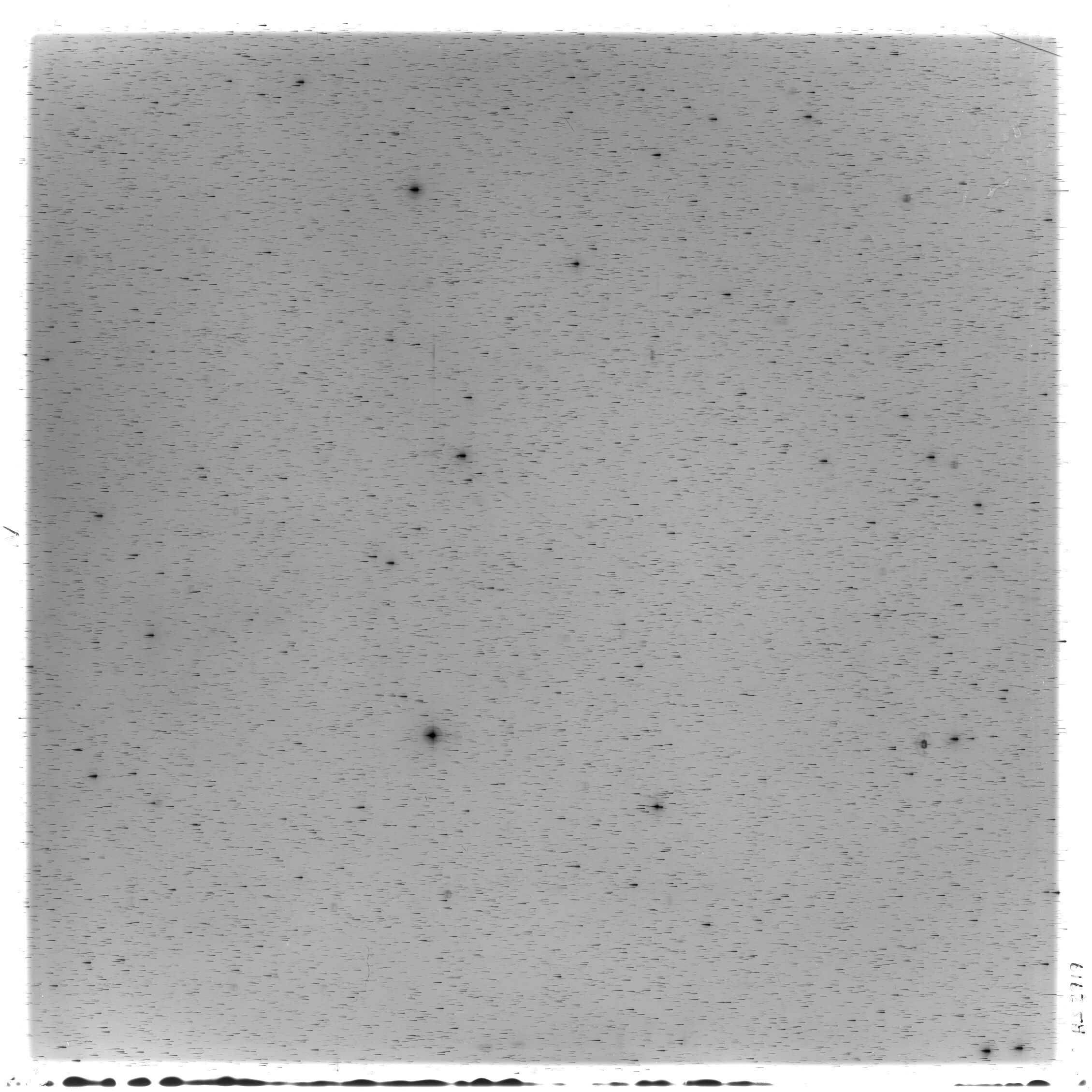 Scan HS02919