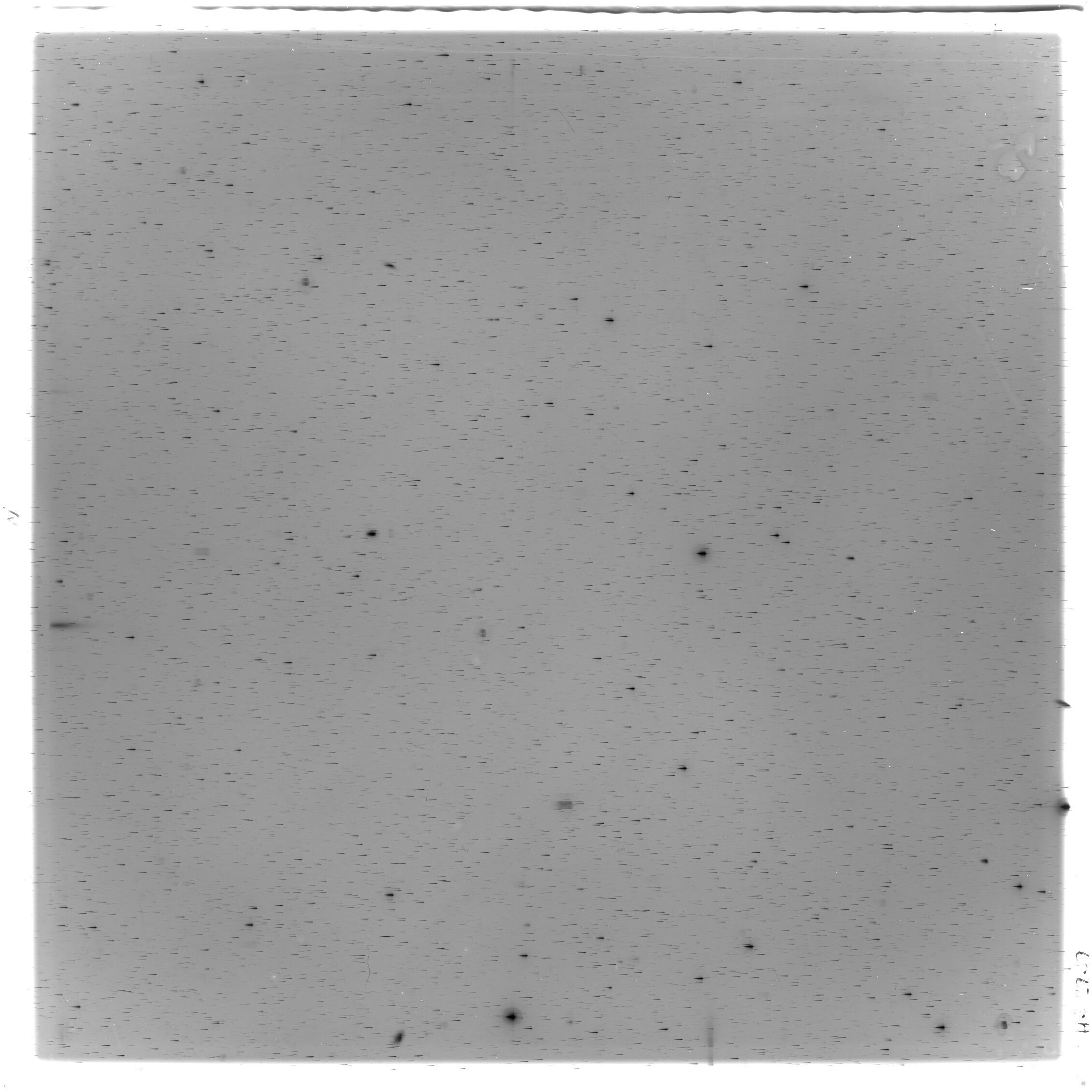 Scan HS02939