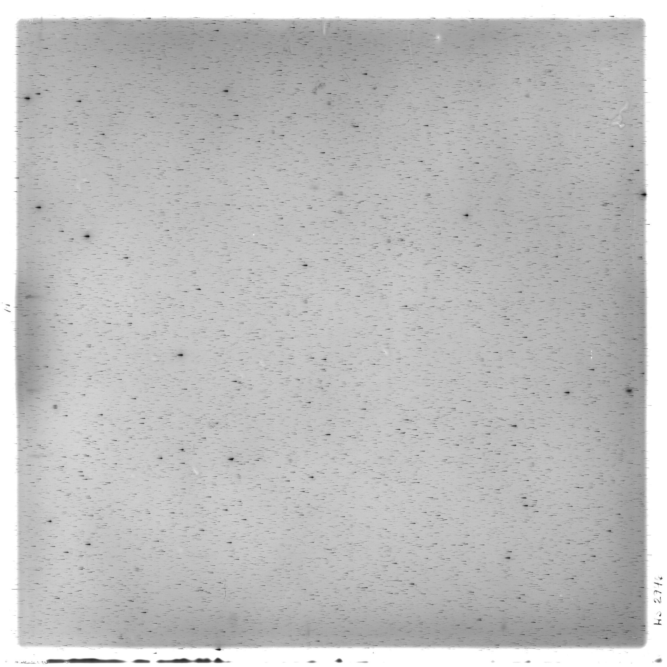 Scan HS02946