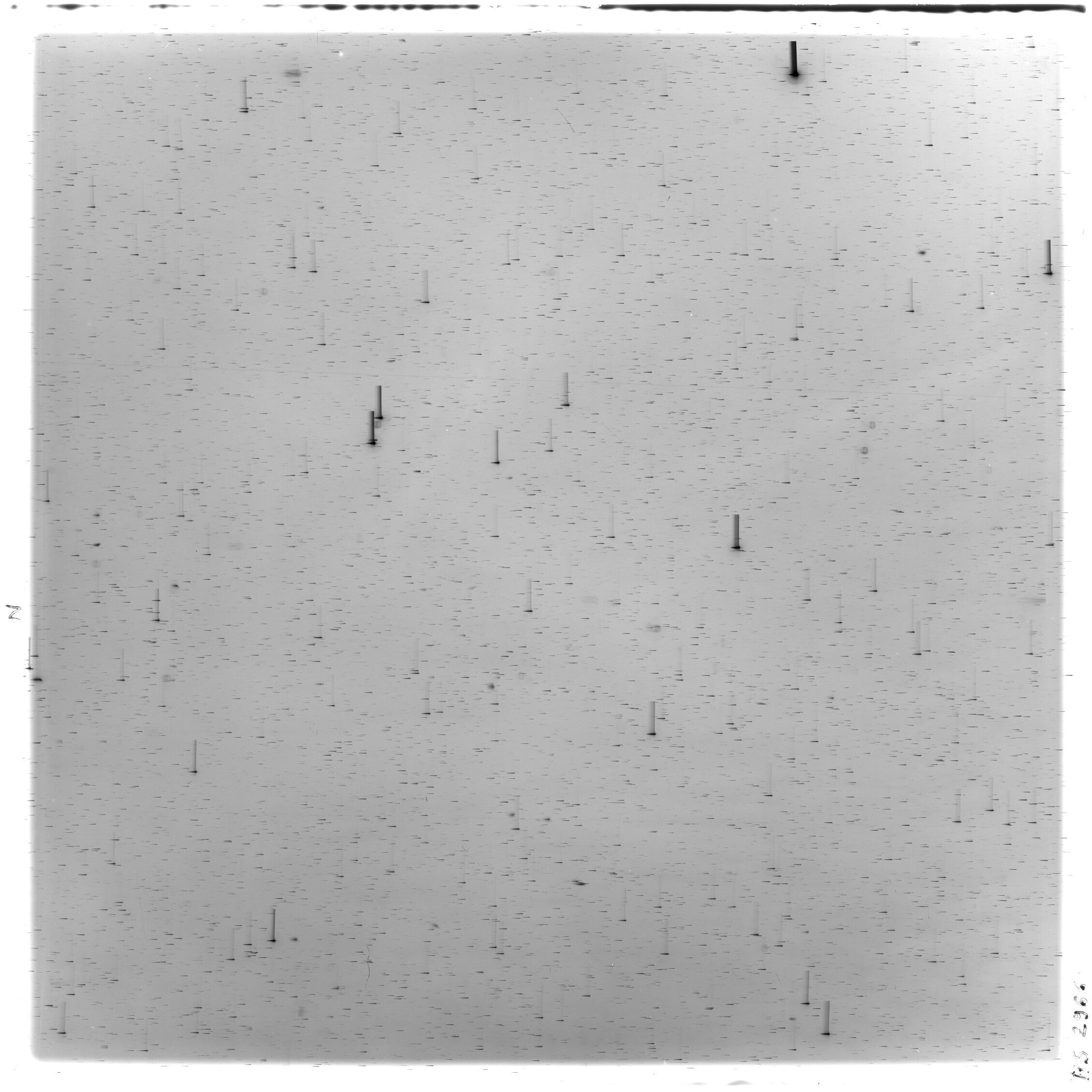 Scan HS02966