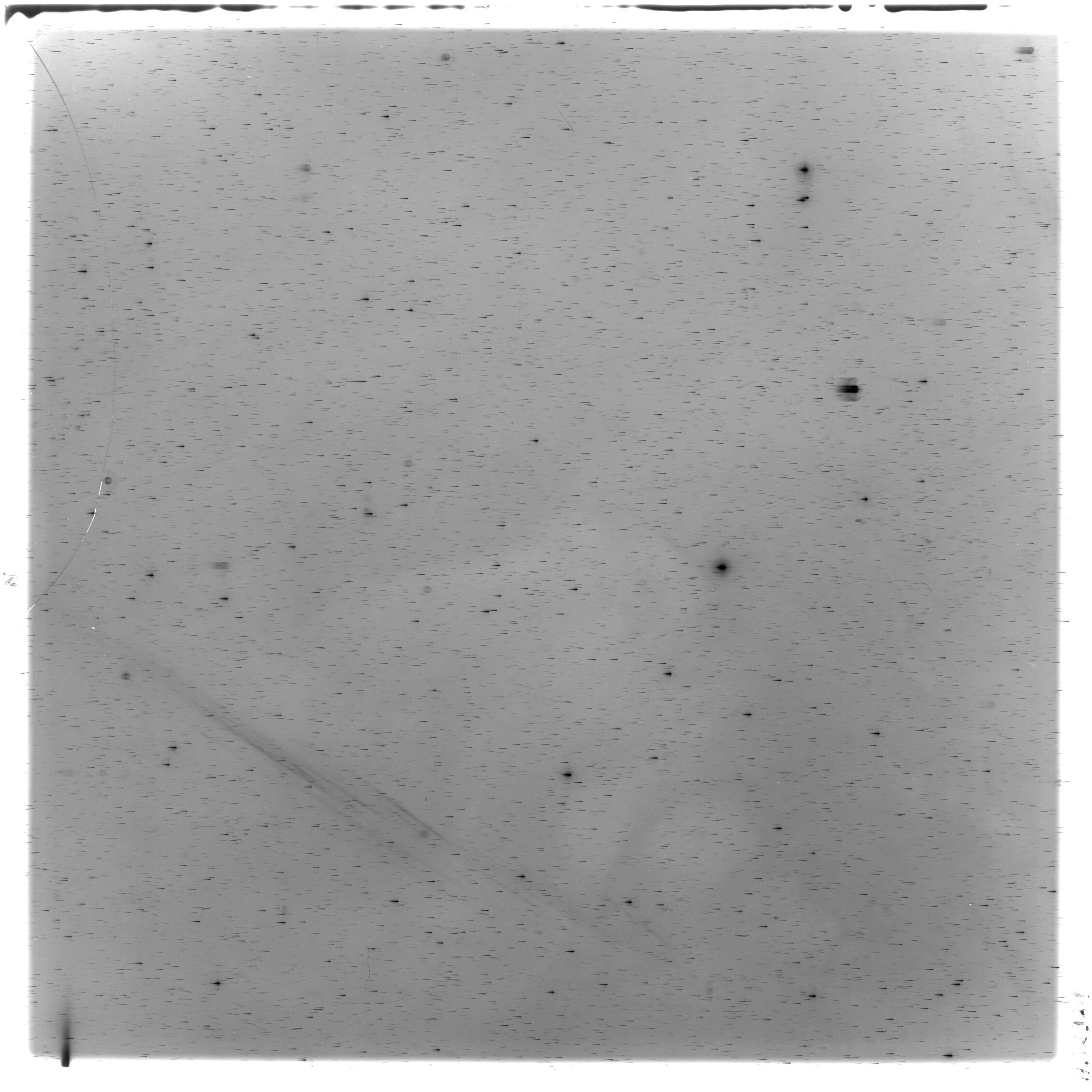 Scan HS02981