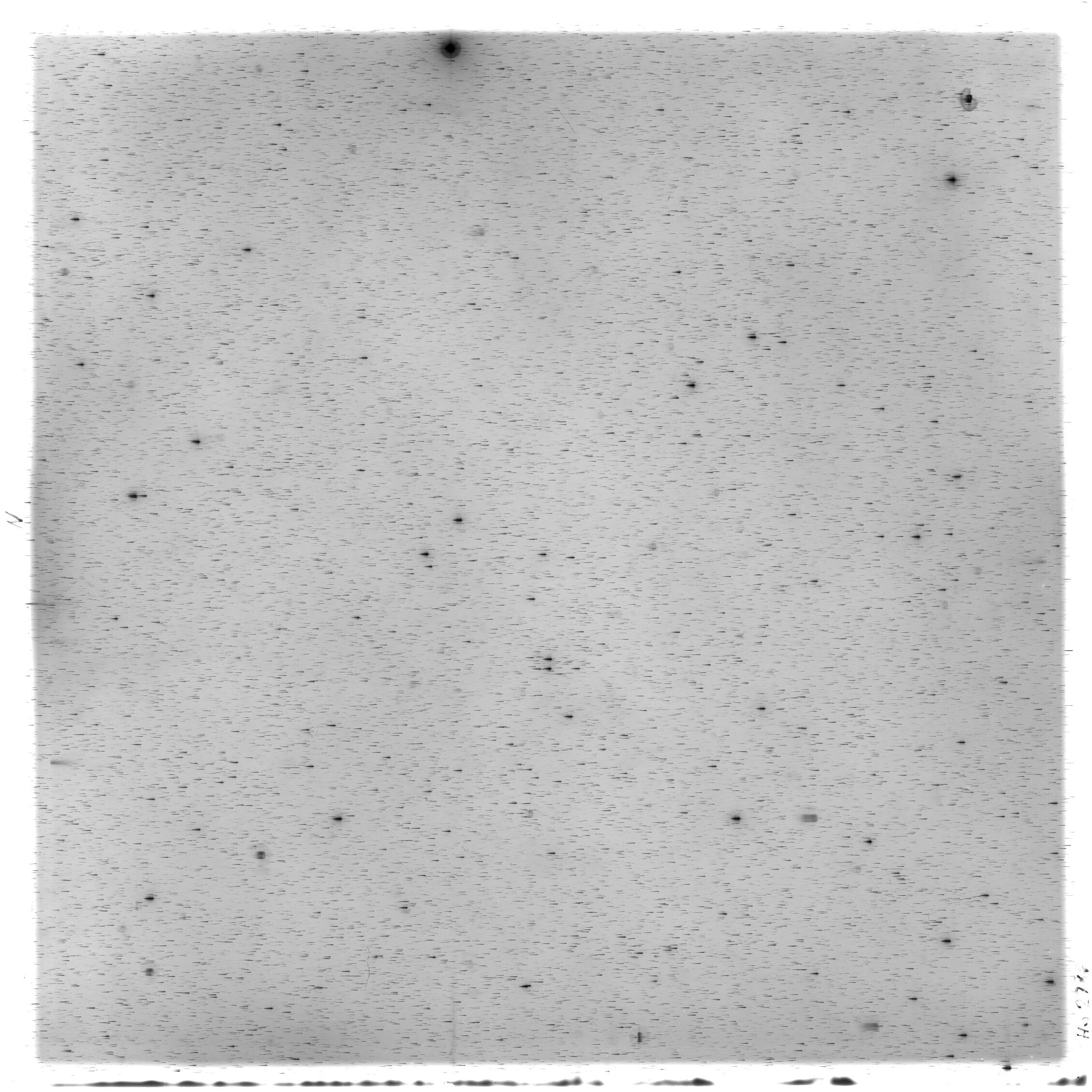 Scan HS02986