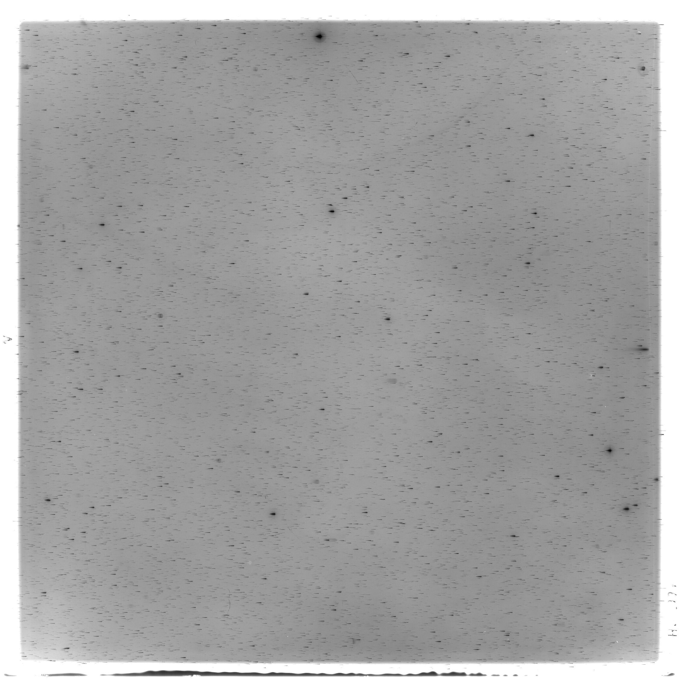 Scan HS02994