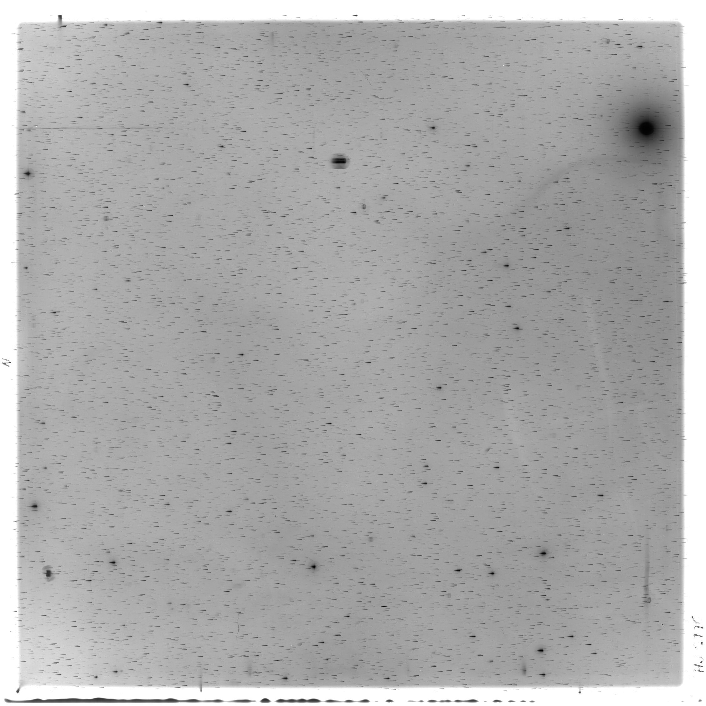 Scan HS02996