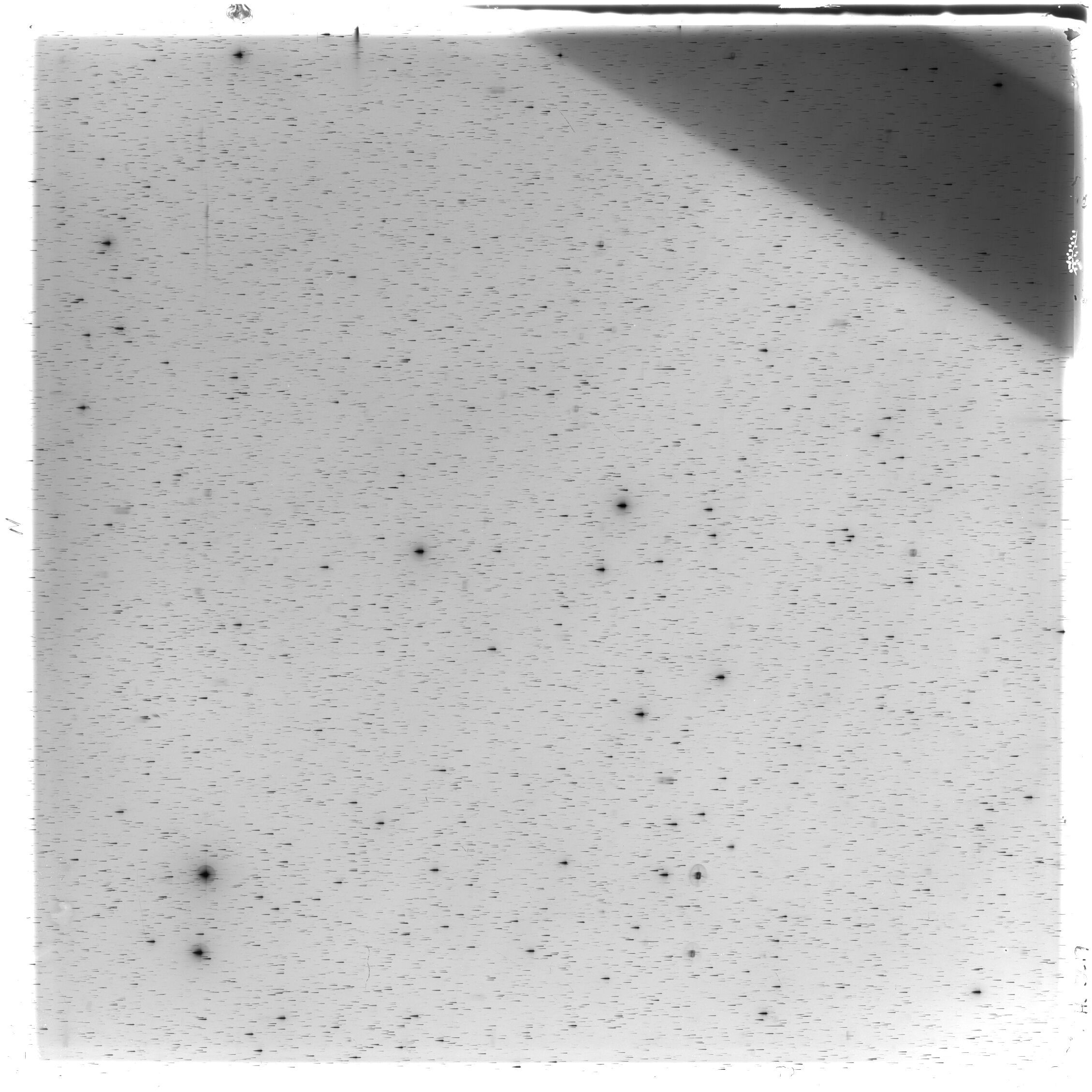 Scan HS03019
