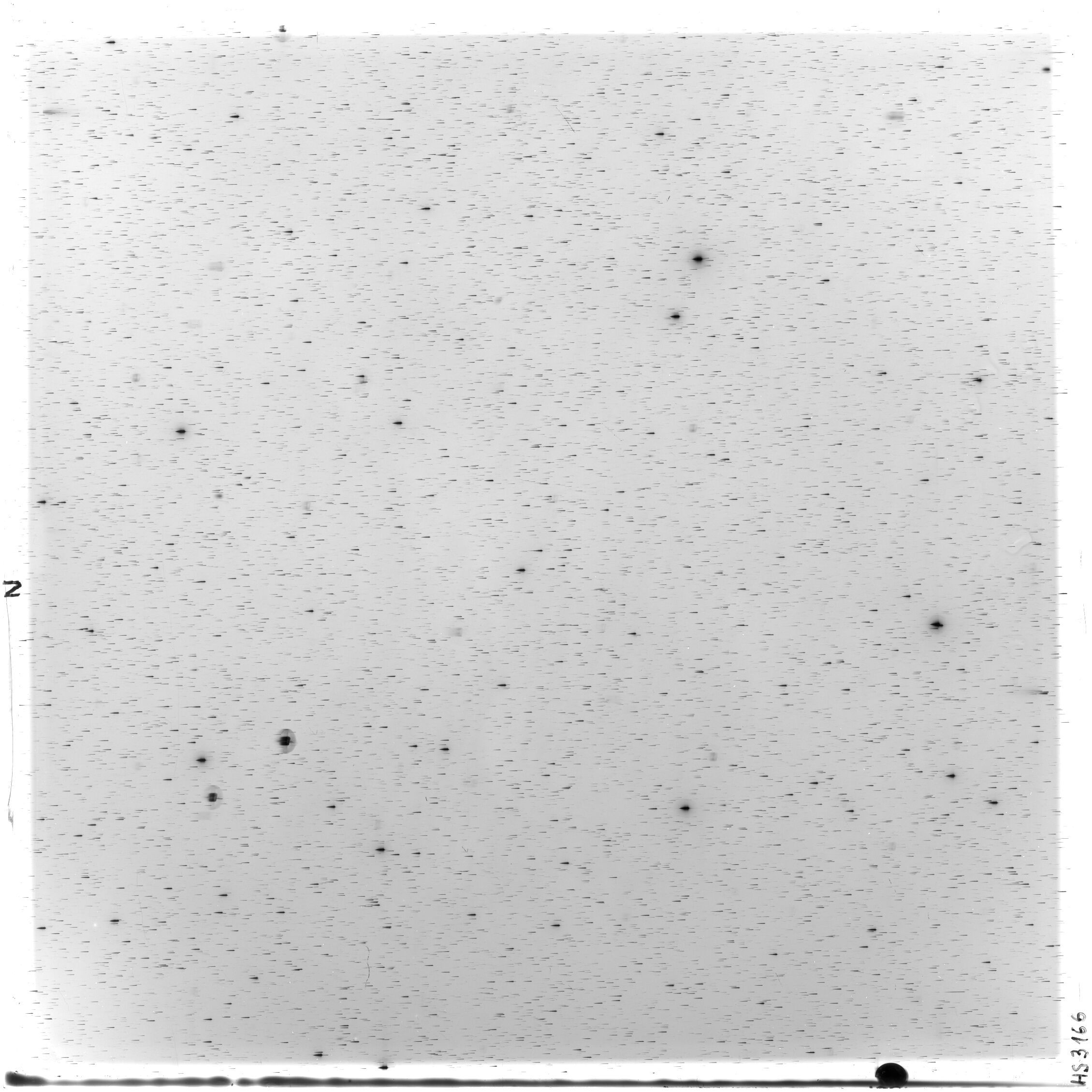 Scan HS03166