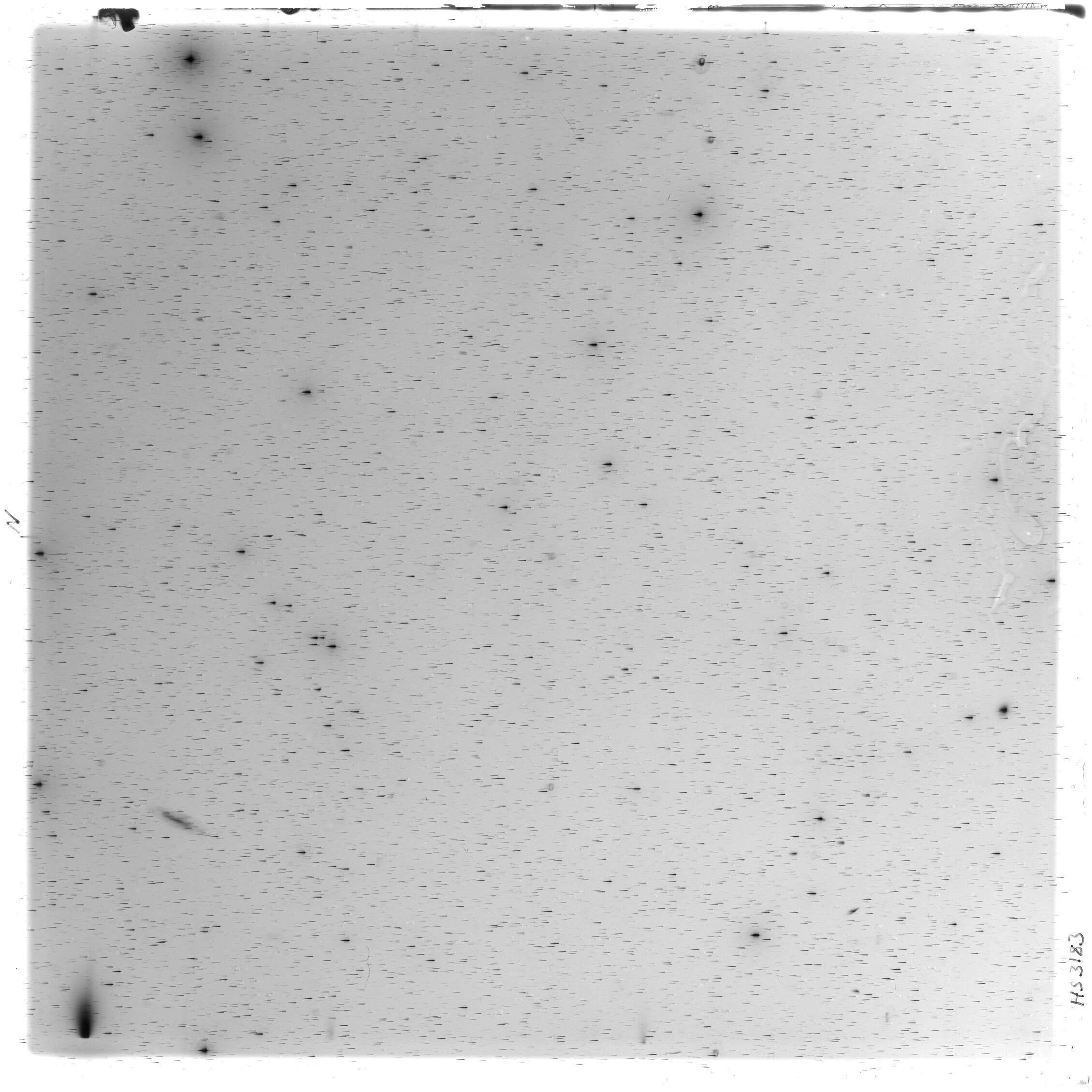 Scan HS03183