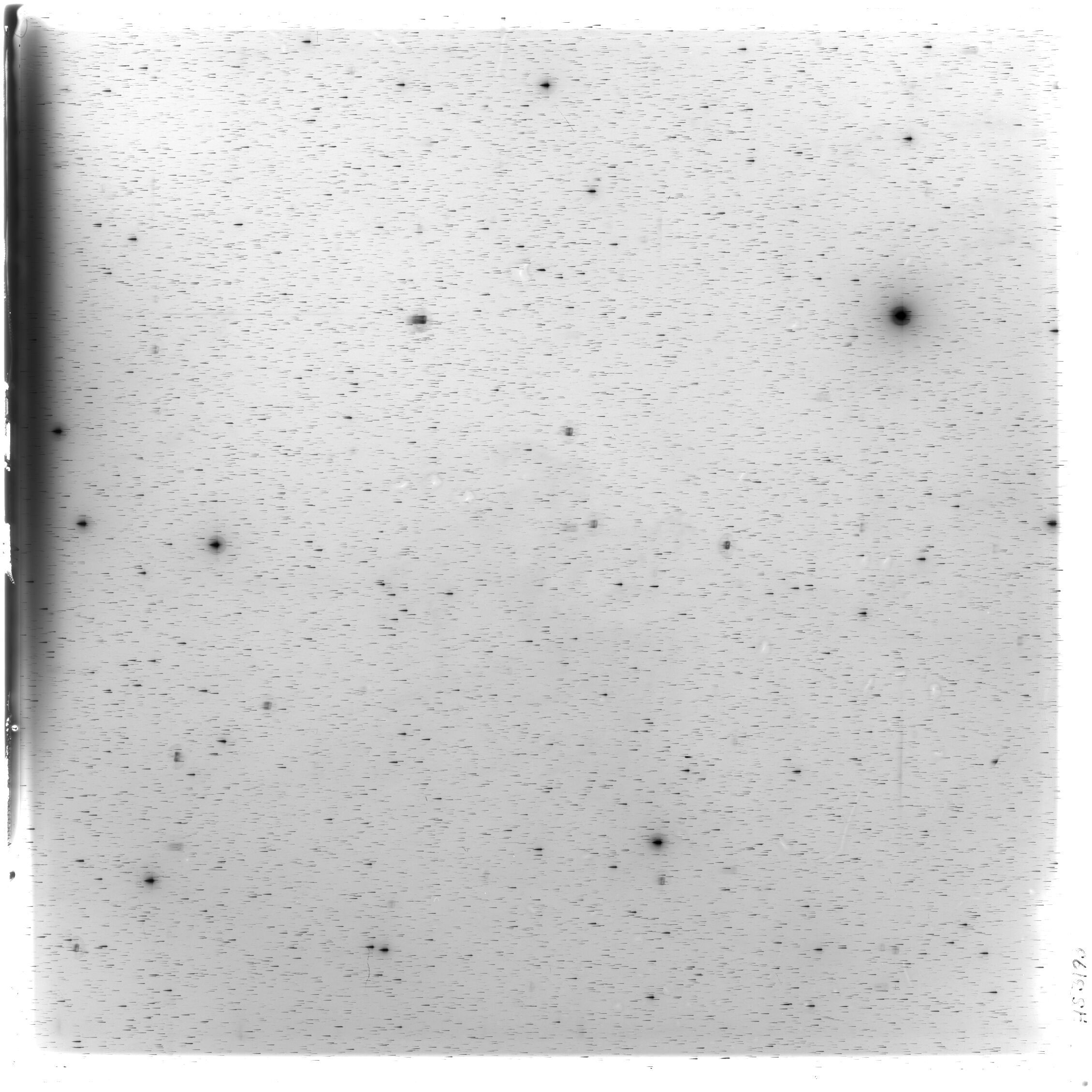 Scan HS03193
