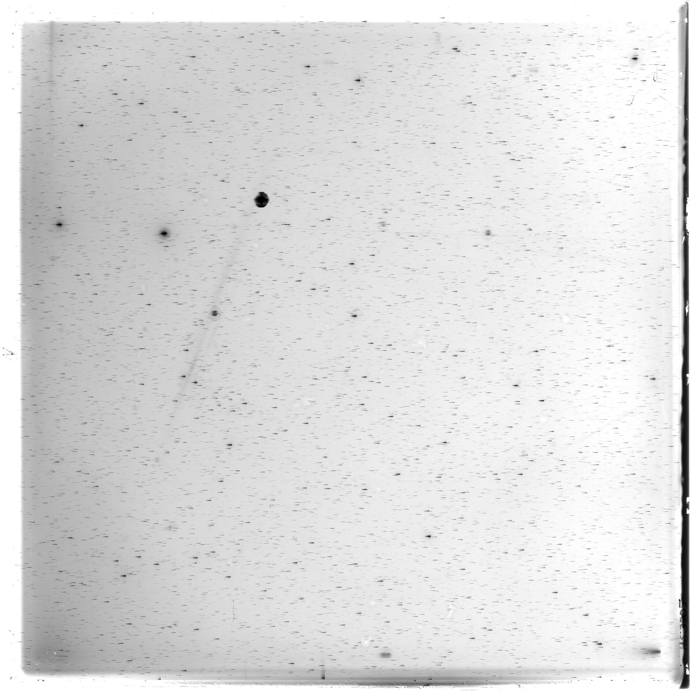 Scan HS03205