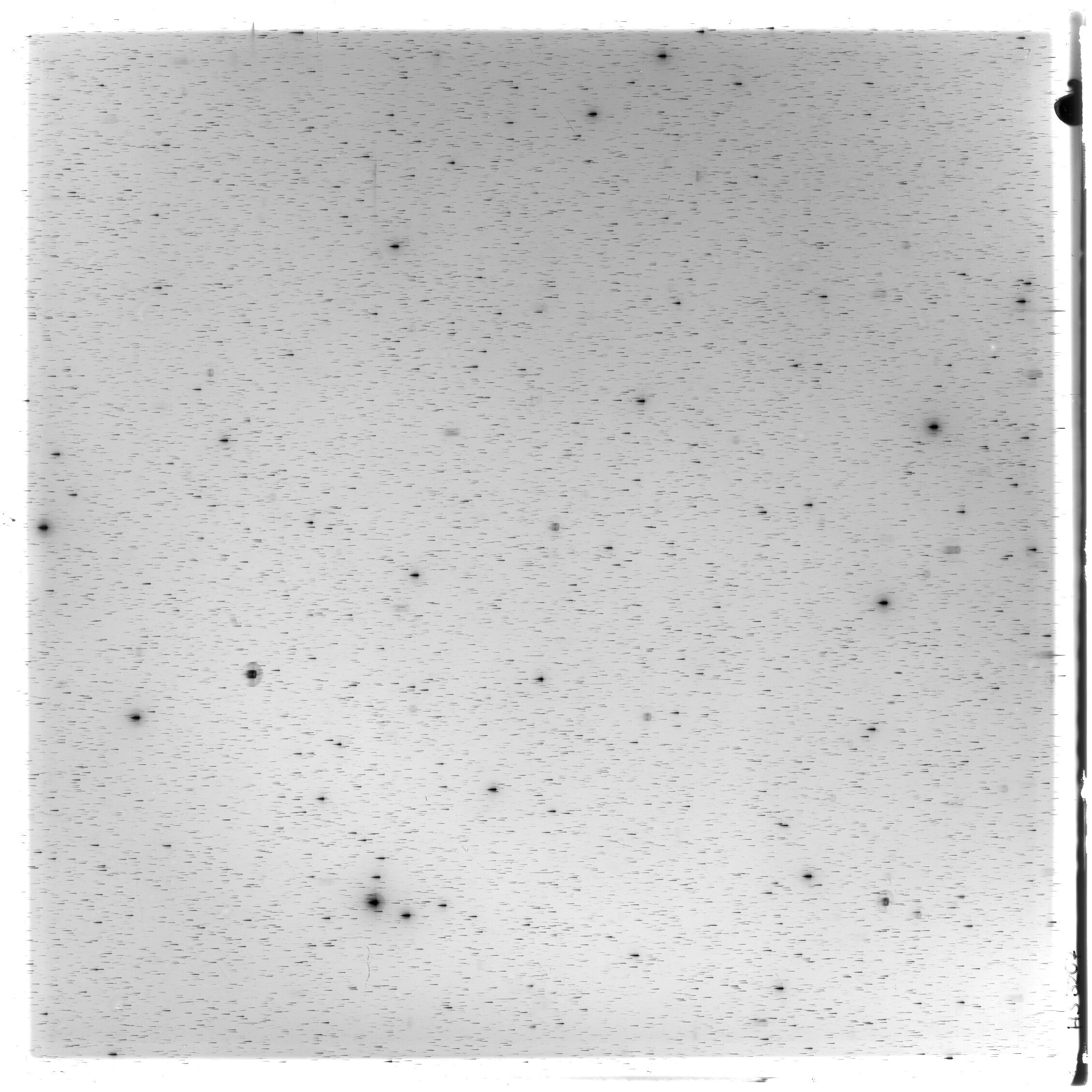 Scan HS03207