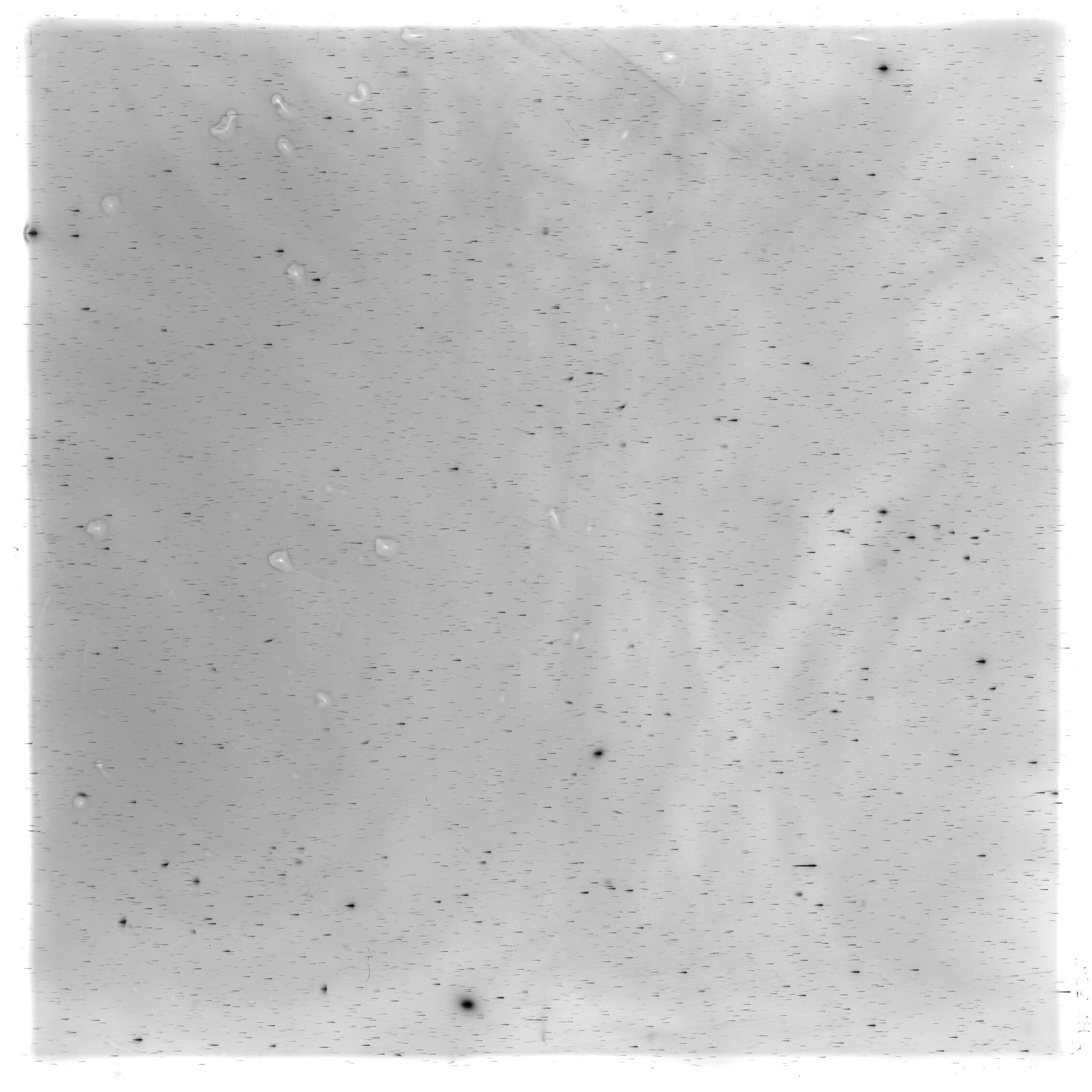 Scan HS03213