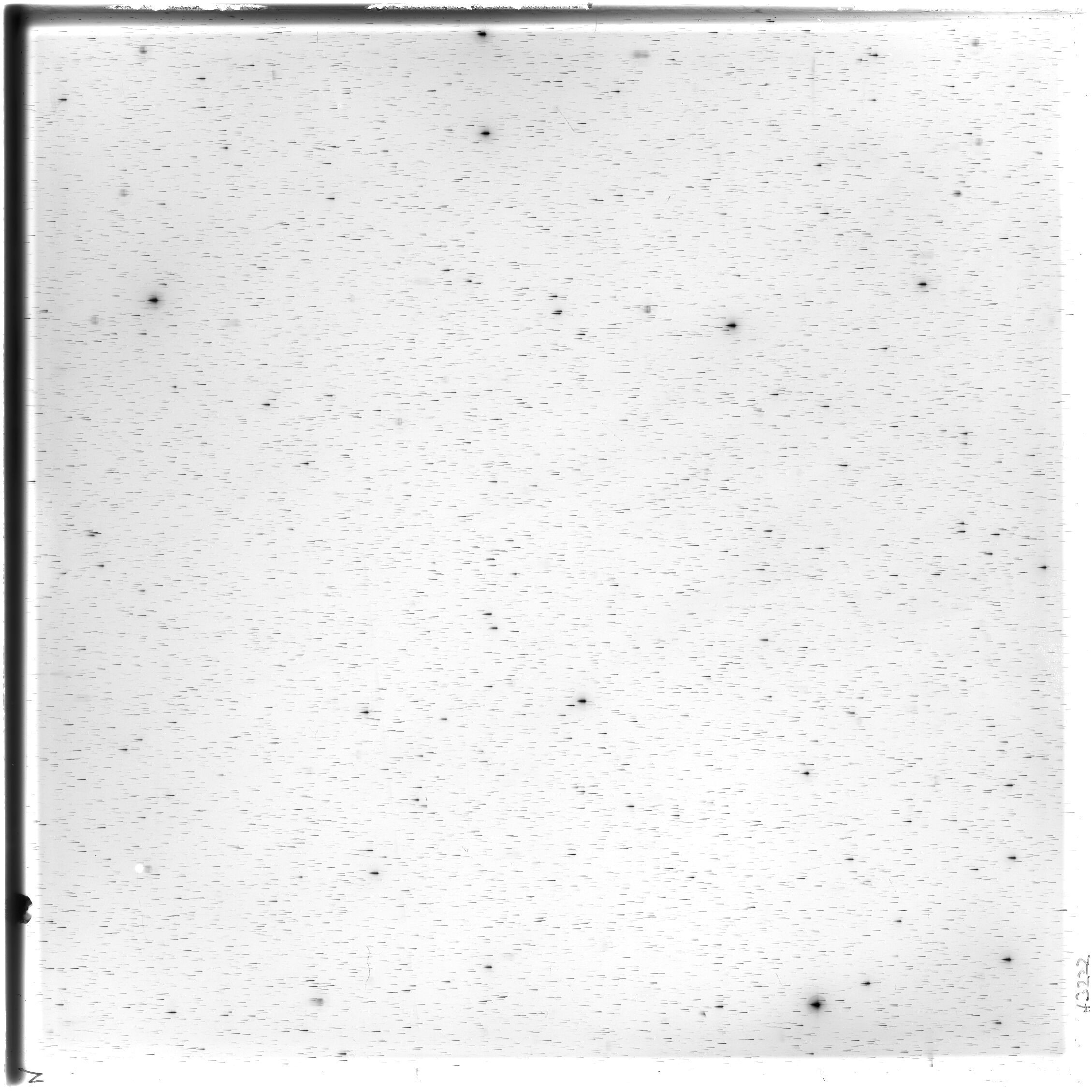 Scan HS03222