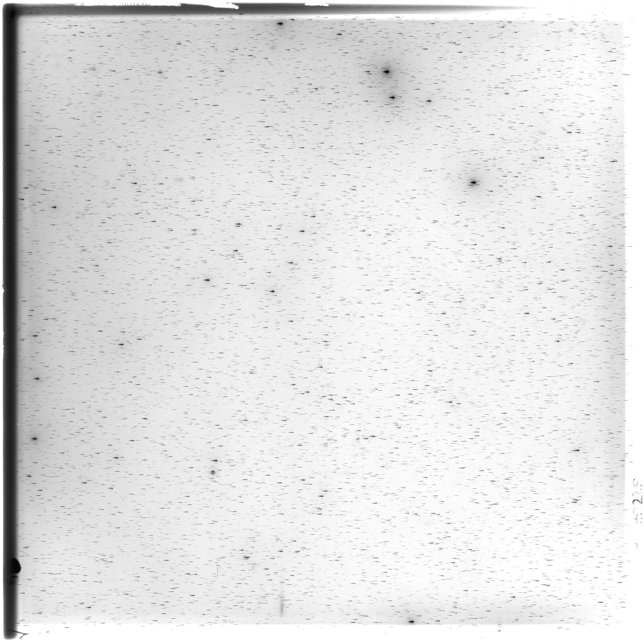 Scan HS03225
