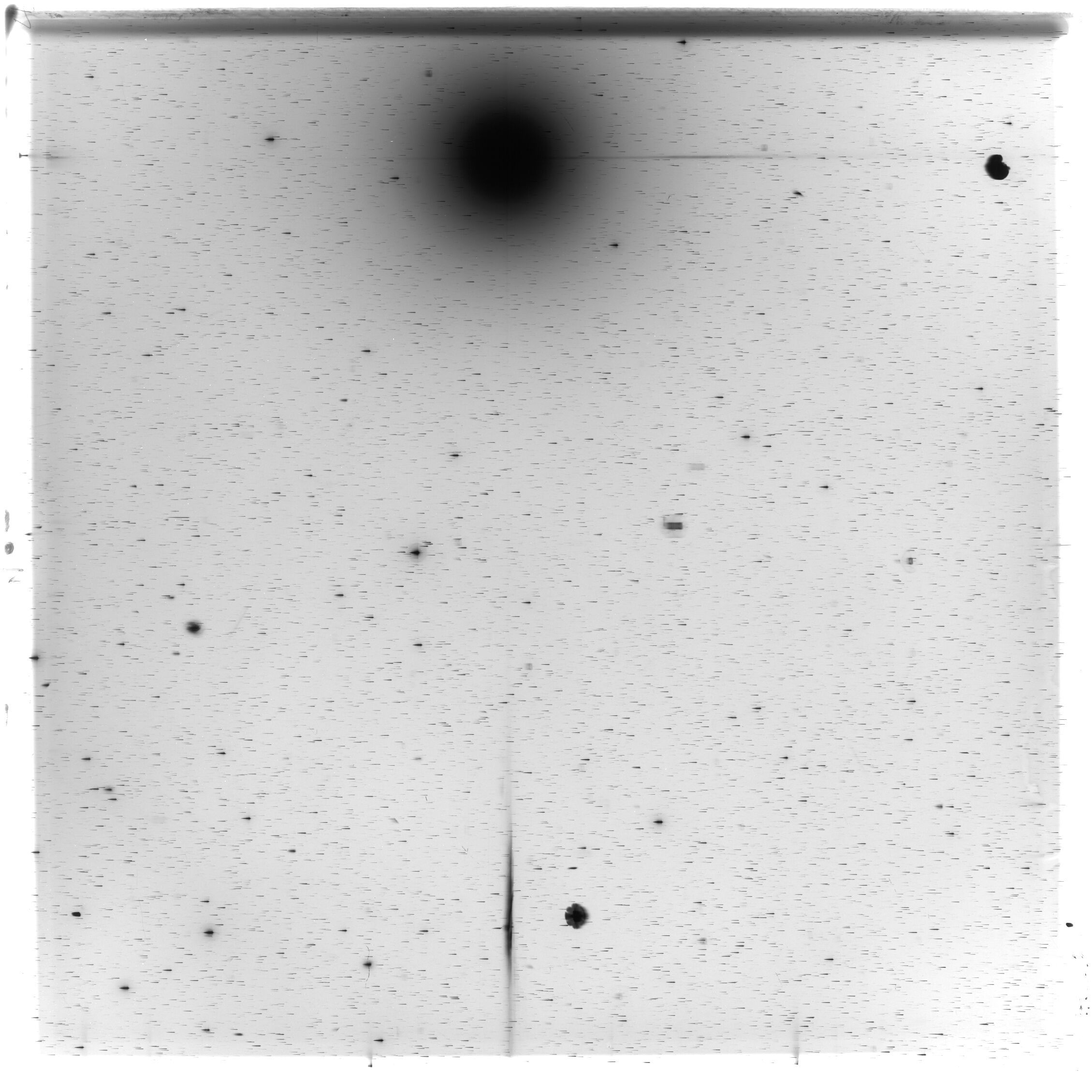 Scan HS03228