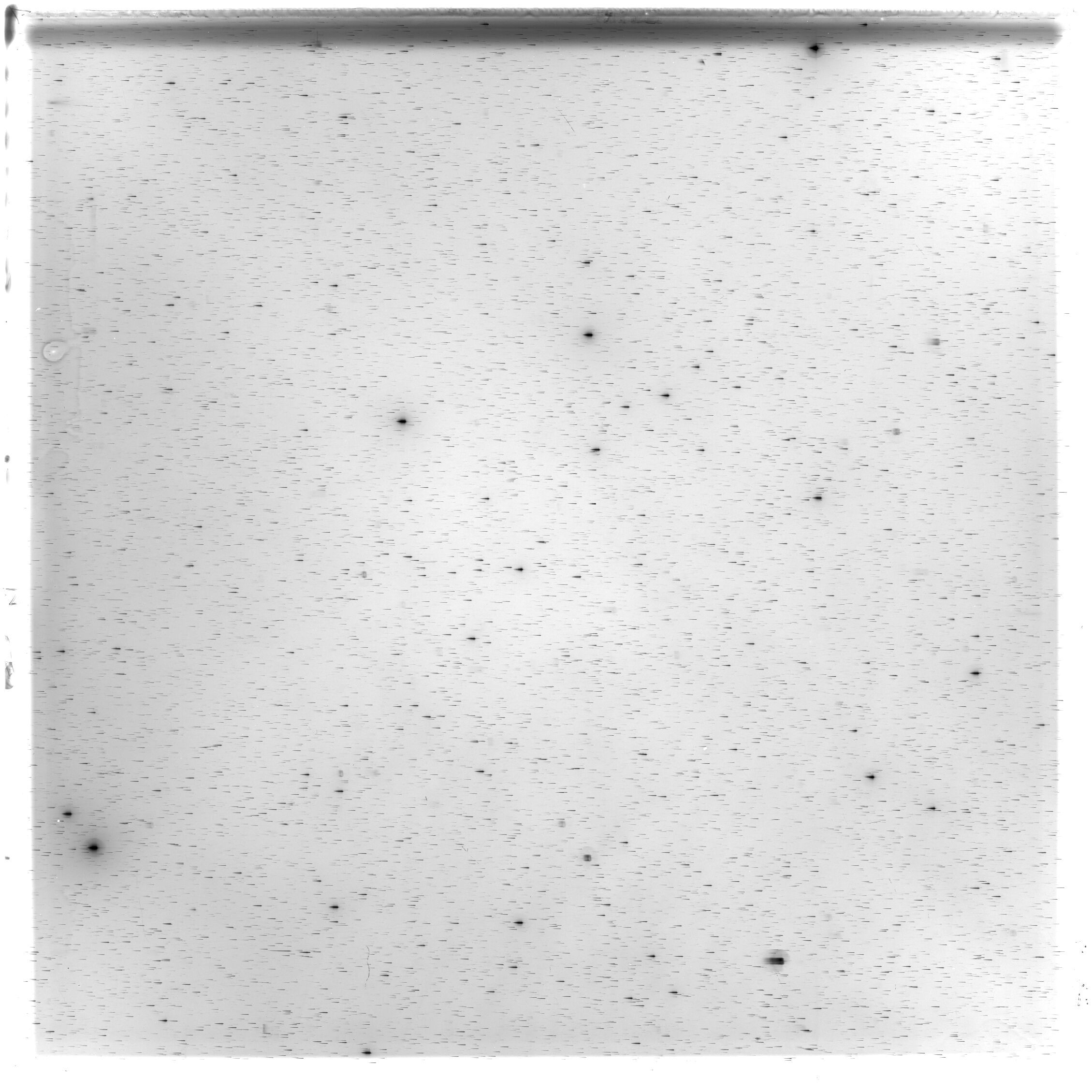 Scan HS03229