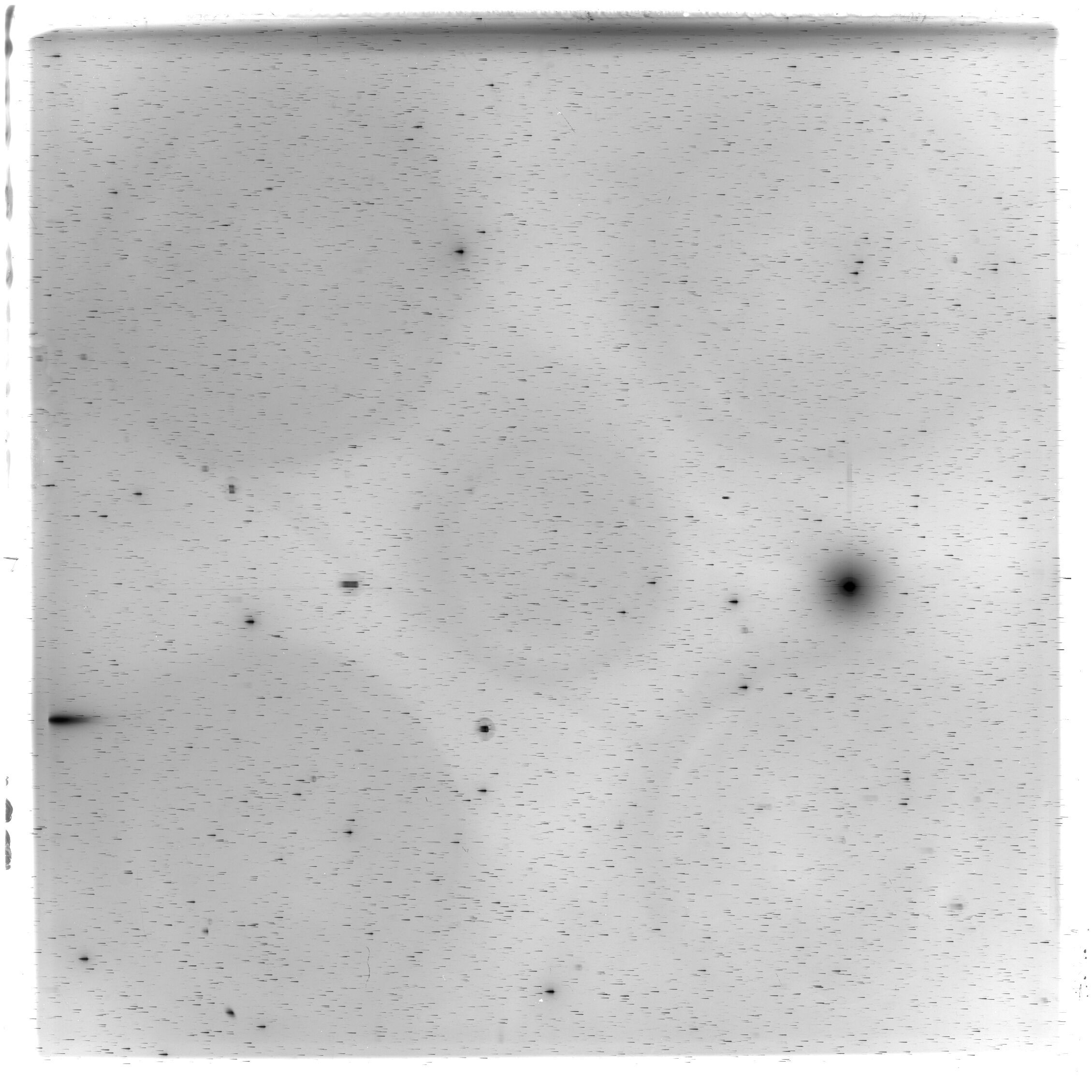 Scan HS03231