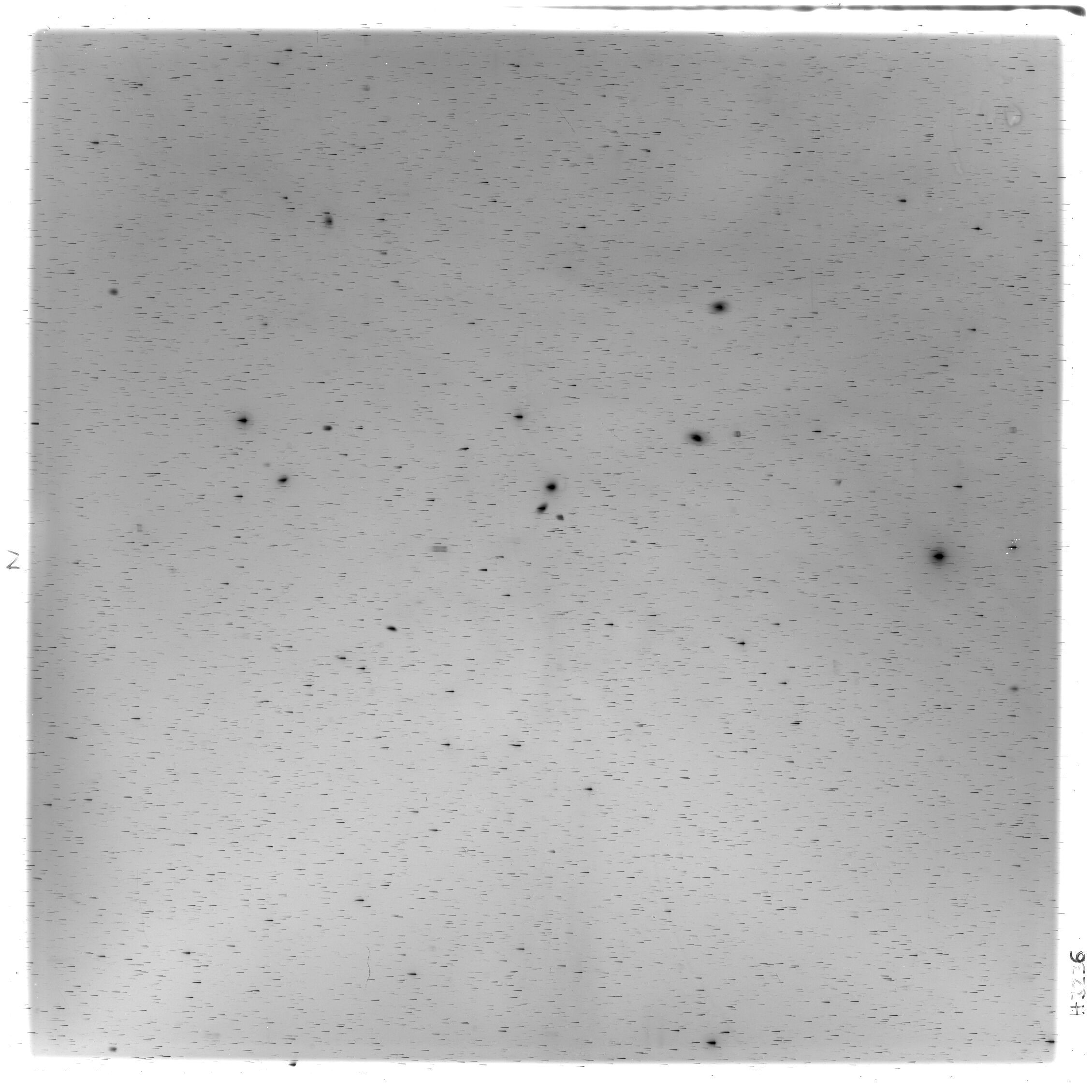 Scan HS03236