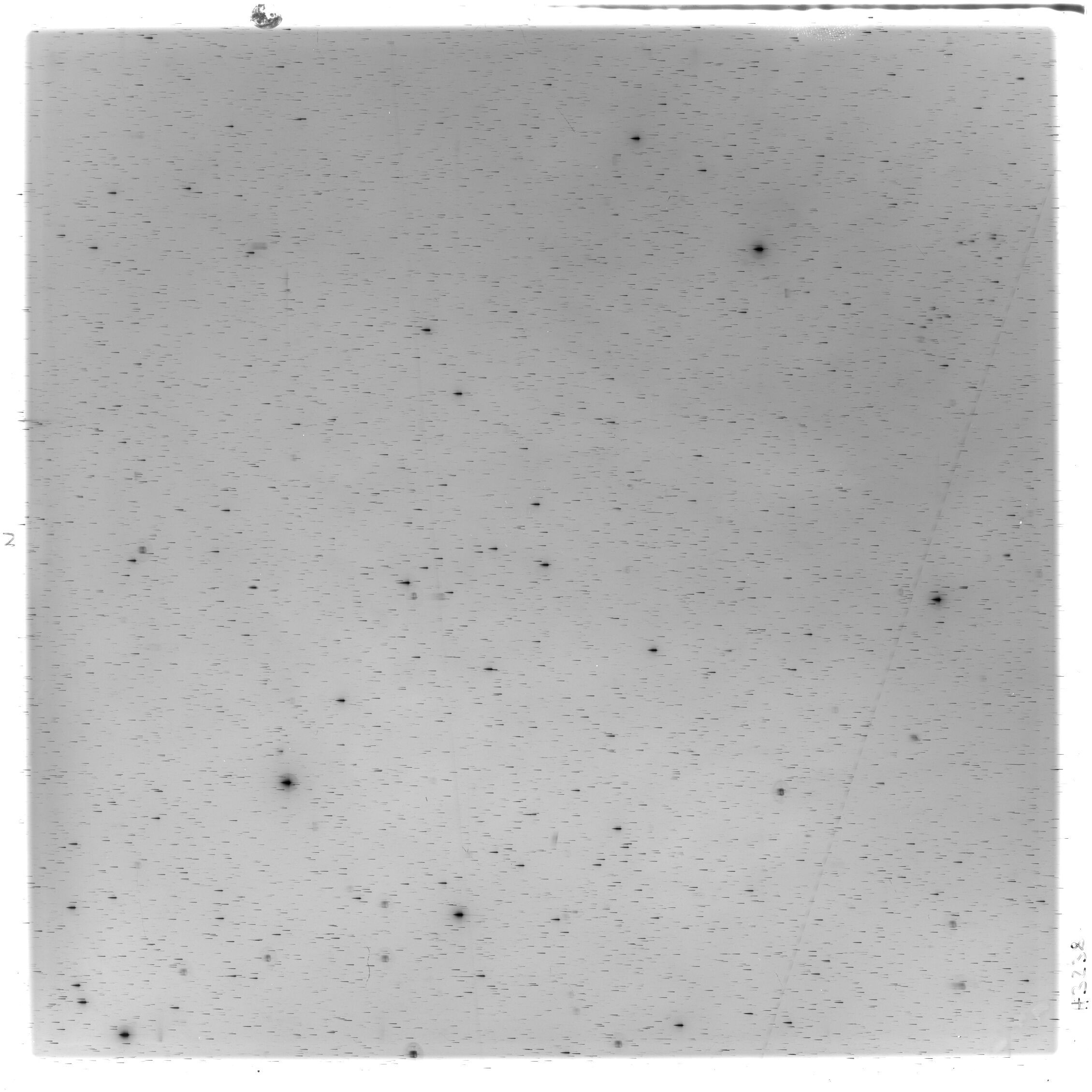 Scan HS03238
