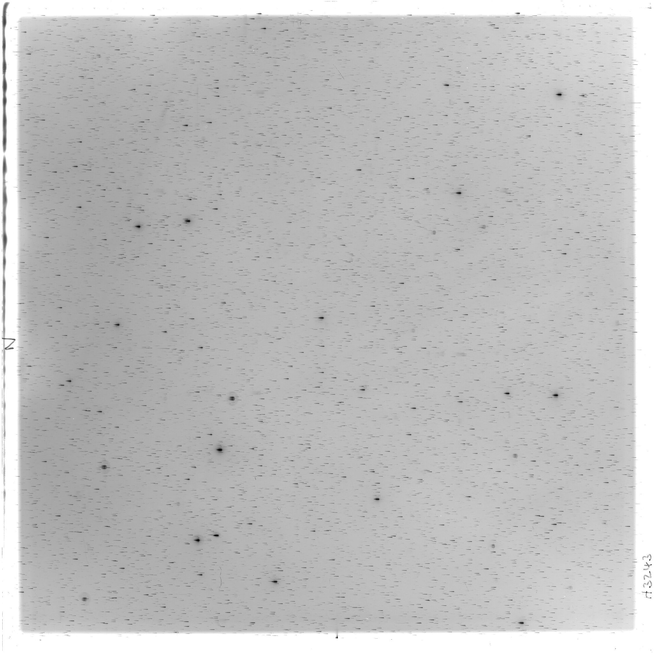 Scan HS03243