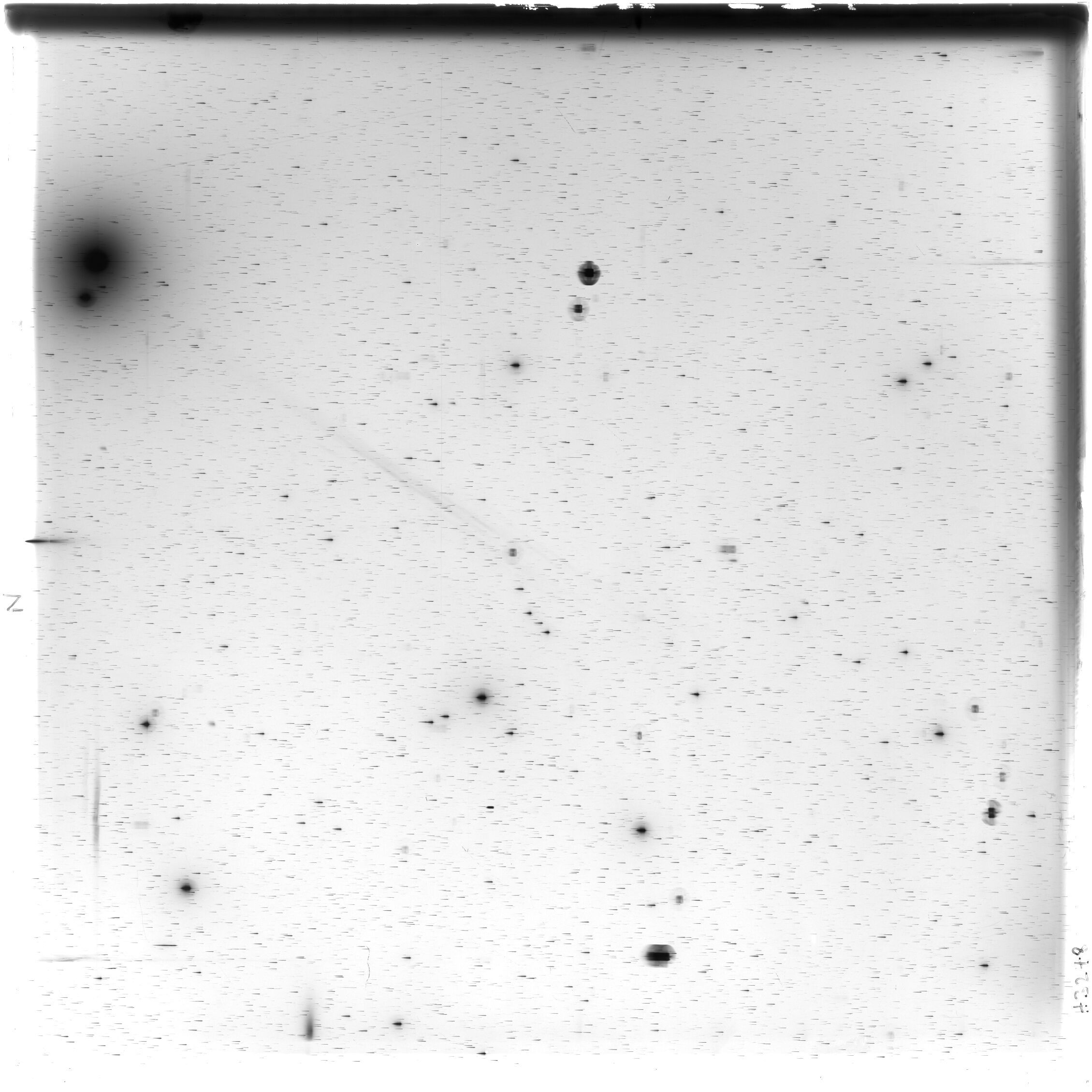 Scan HS03248